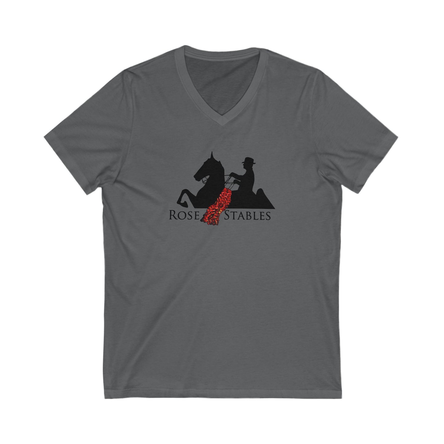 Premium Ladies V-Neck Tee