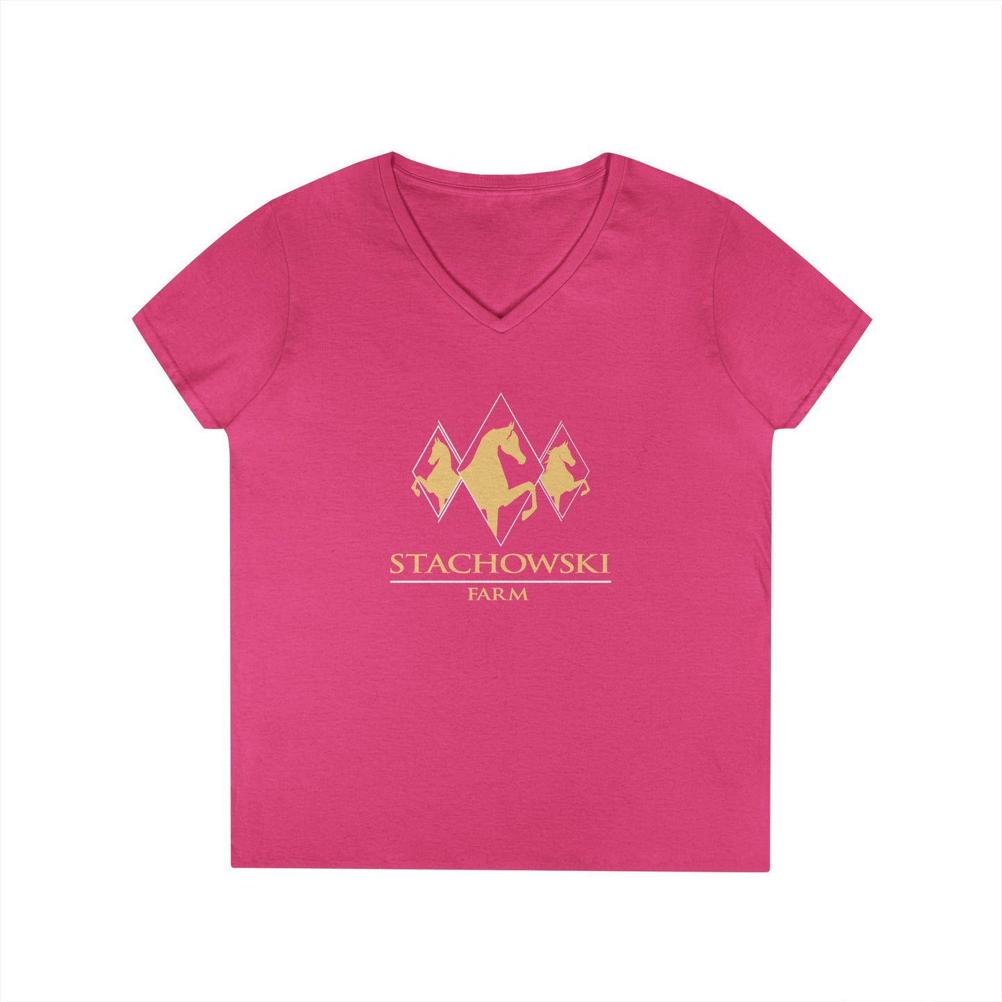 Ladies V-Neck Tee