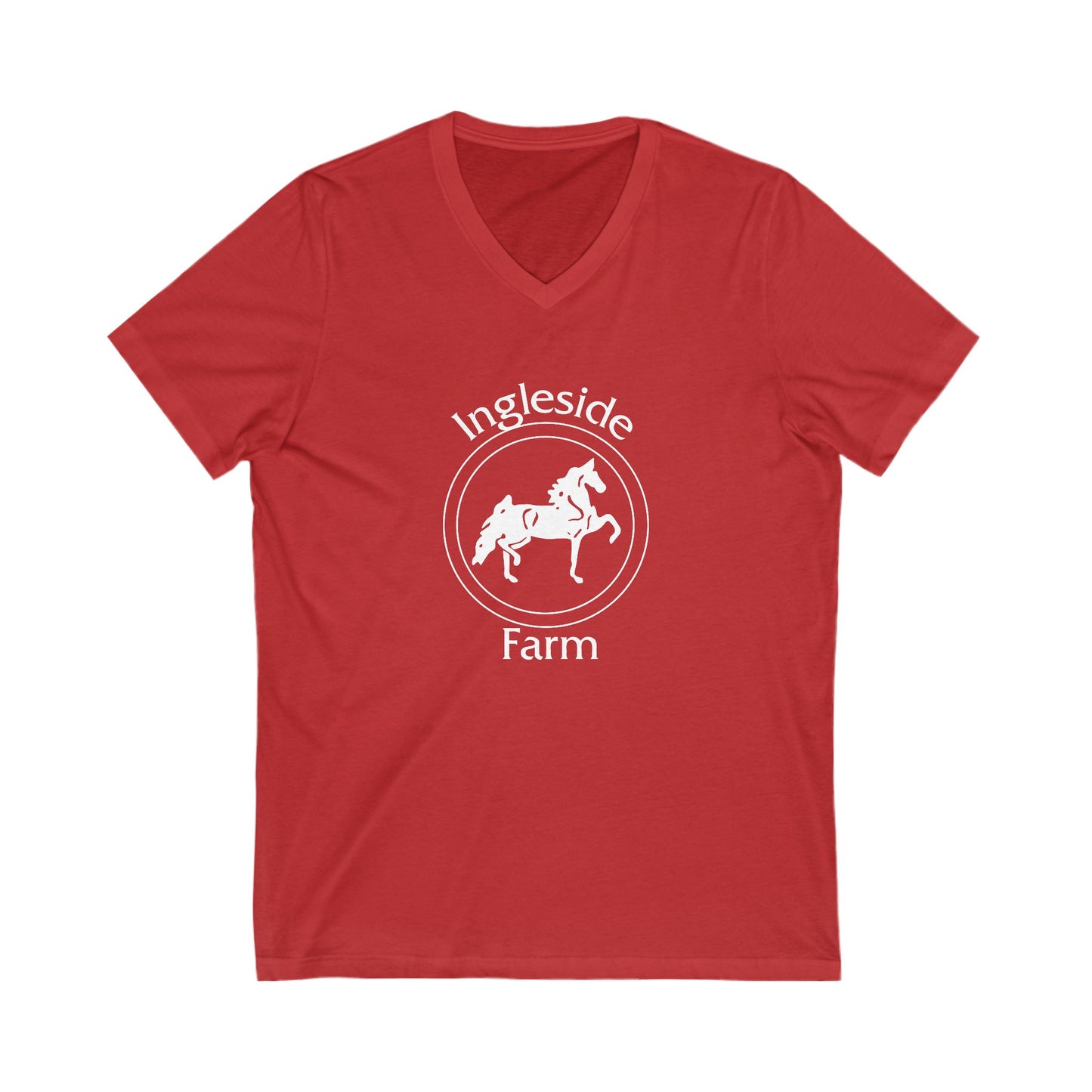 Premium Ladies V-Neck Tee