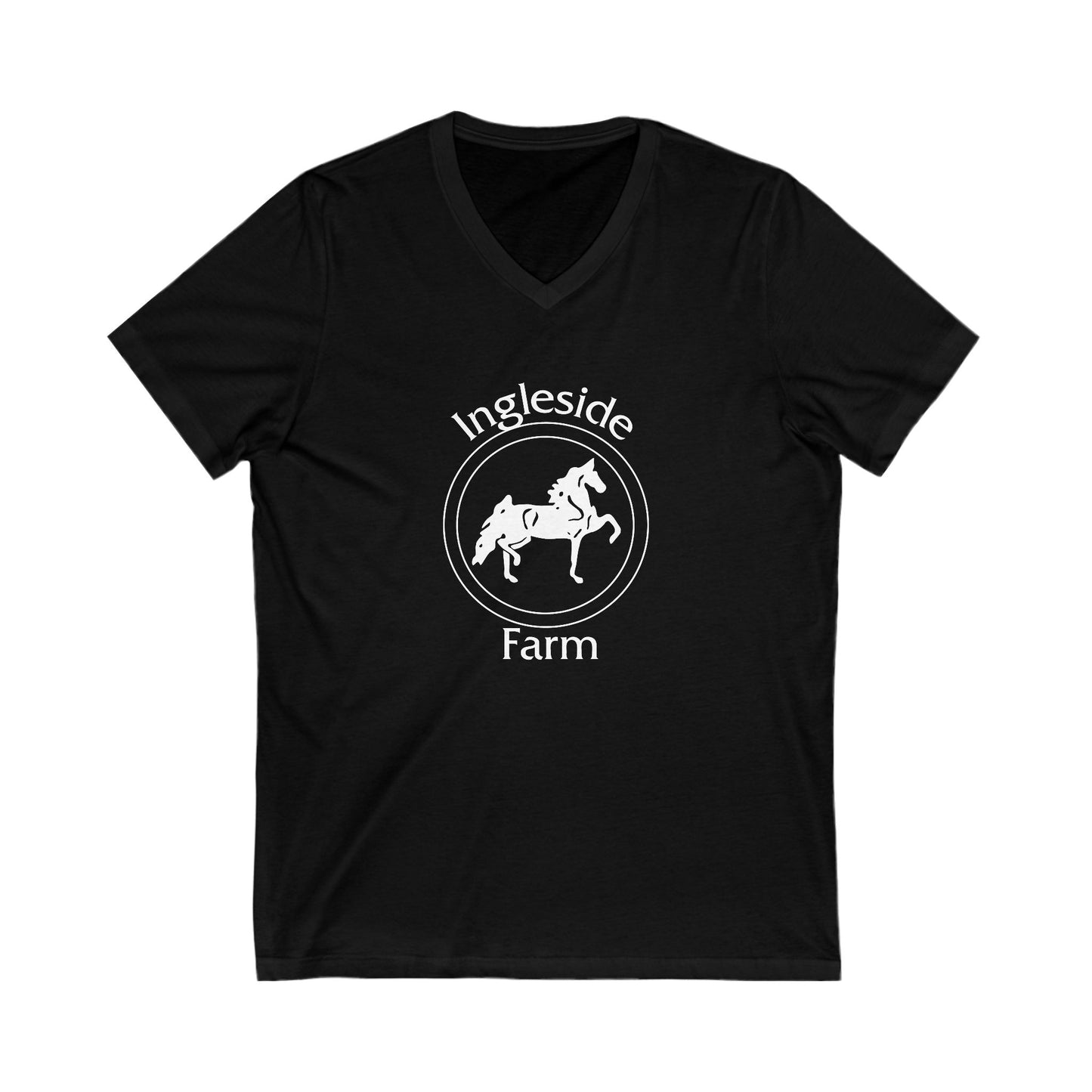 Premium Ladies V-Neck Tee
