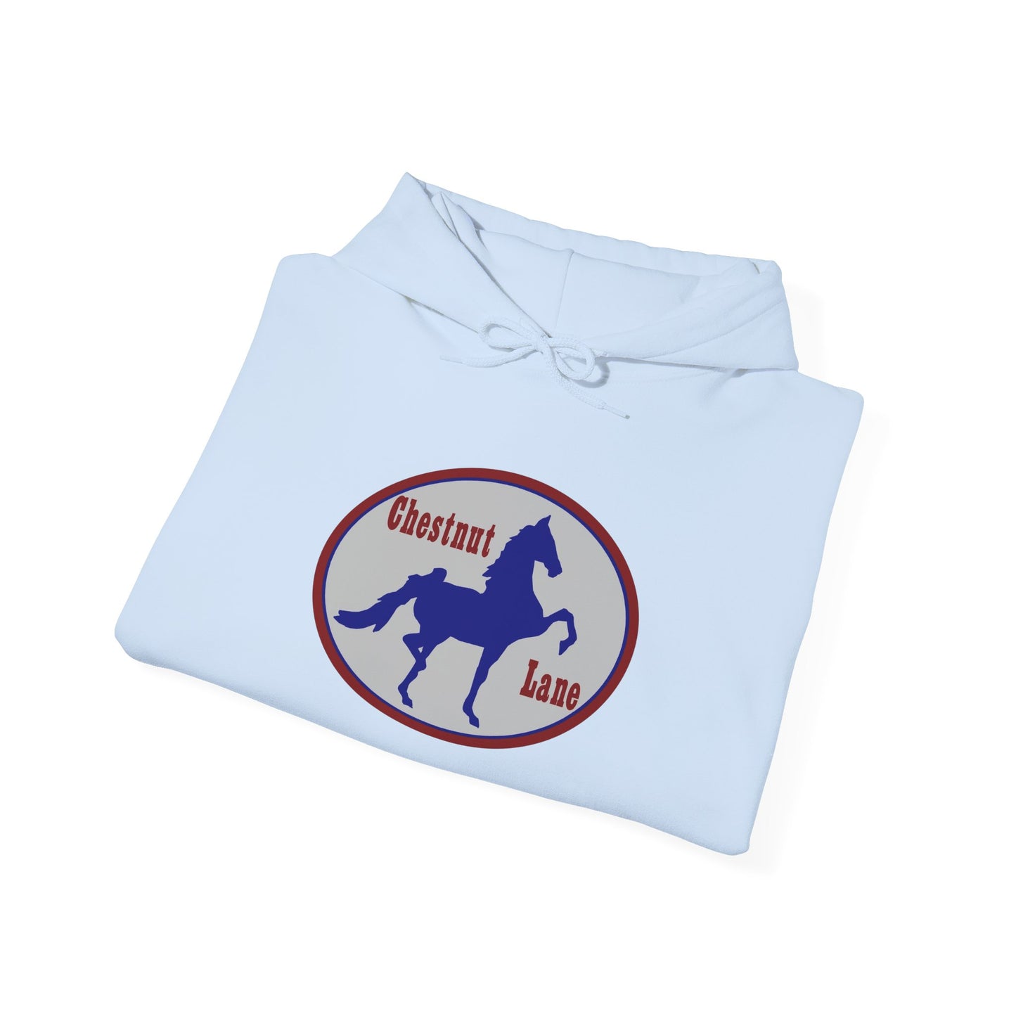 Unisex Heavy Blend™ Hoodie