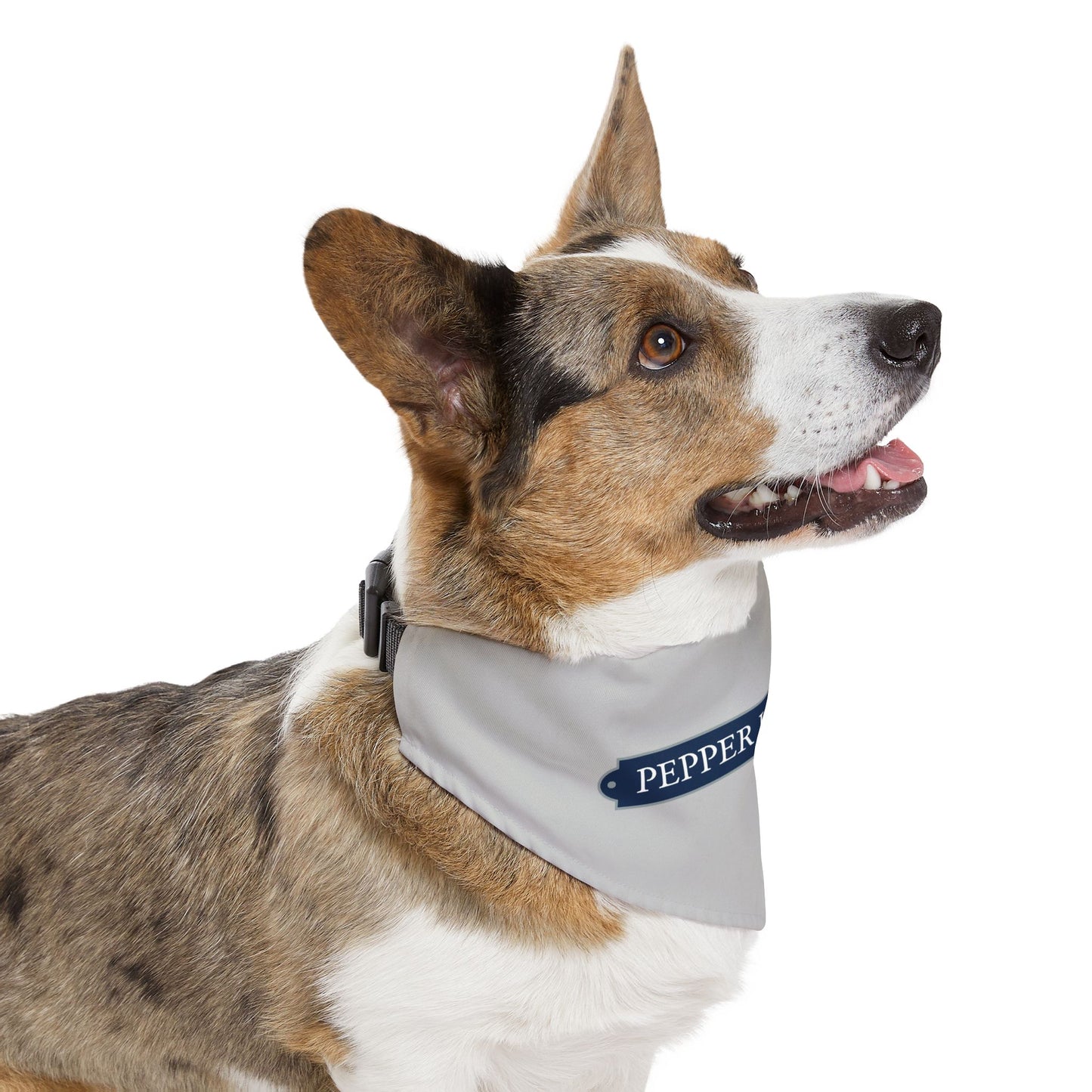 Dog Bandana with Collar