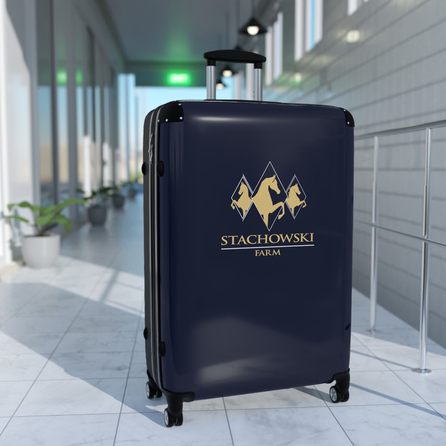 Premium Suitcase (3 Sizes)