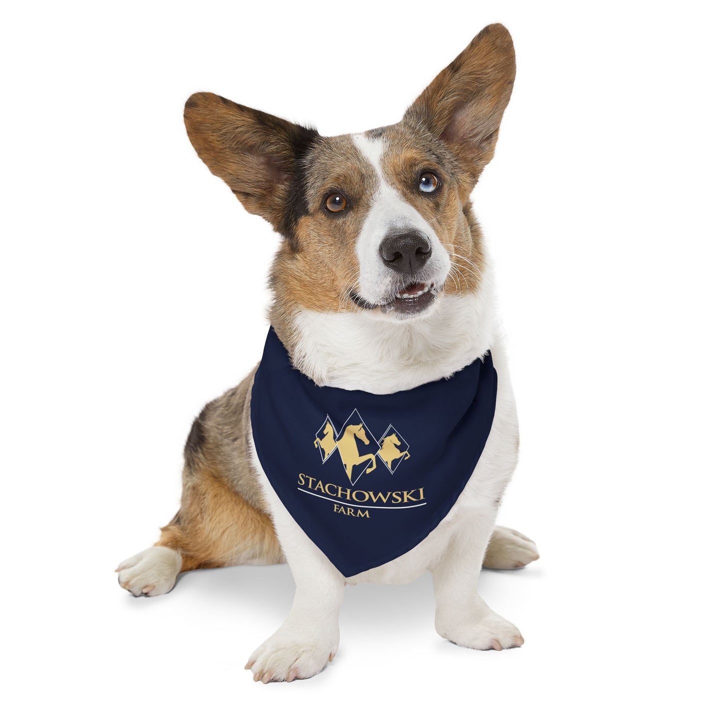 Dog Bandana with Collar