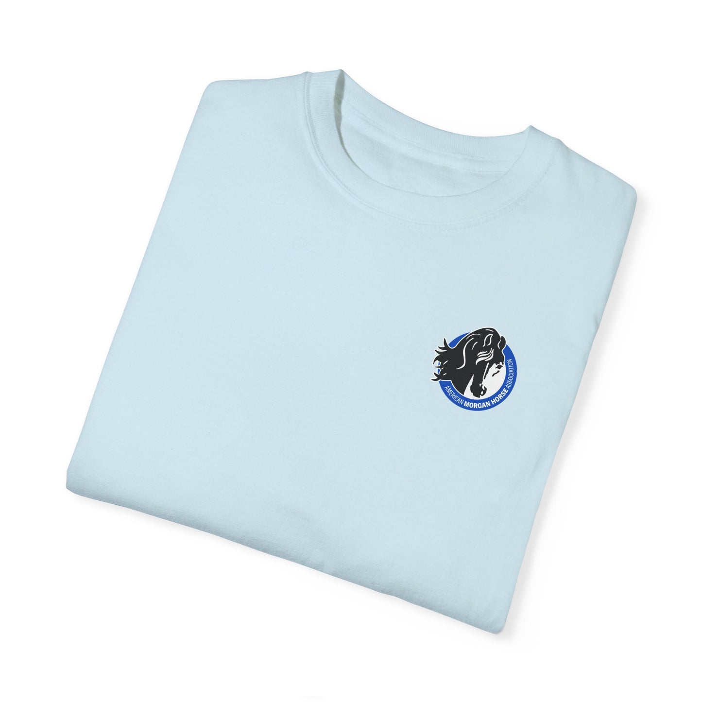 Comfort Colors Tee