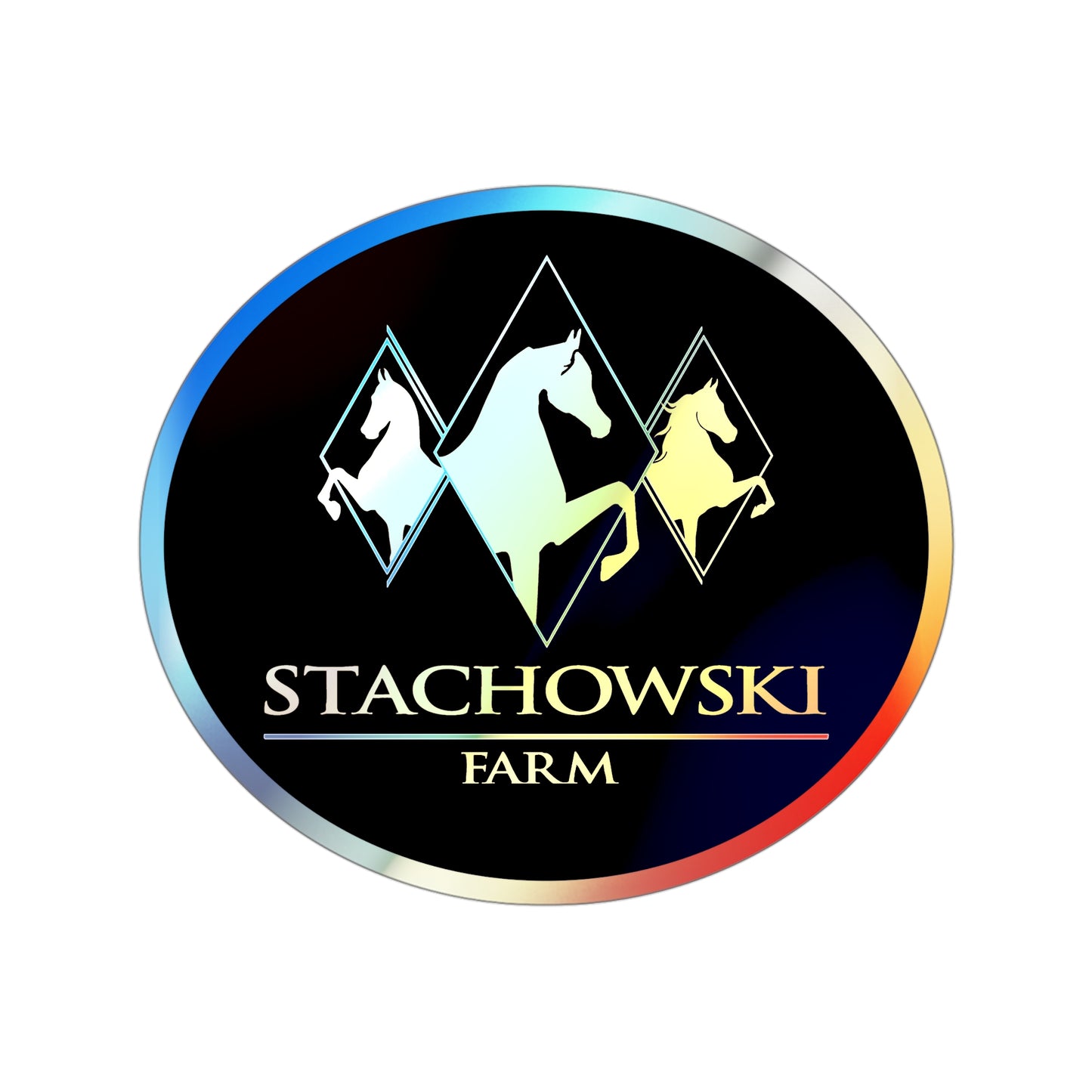 Holographic Sticker 4