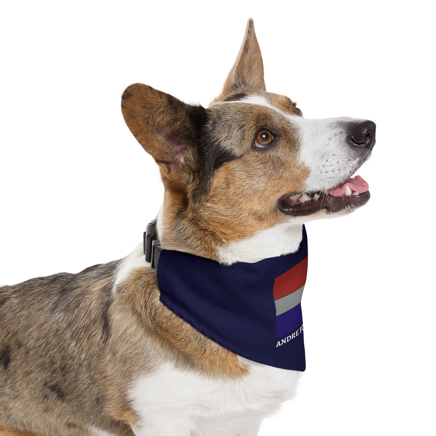 Dog Bandana with Collar