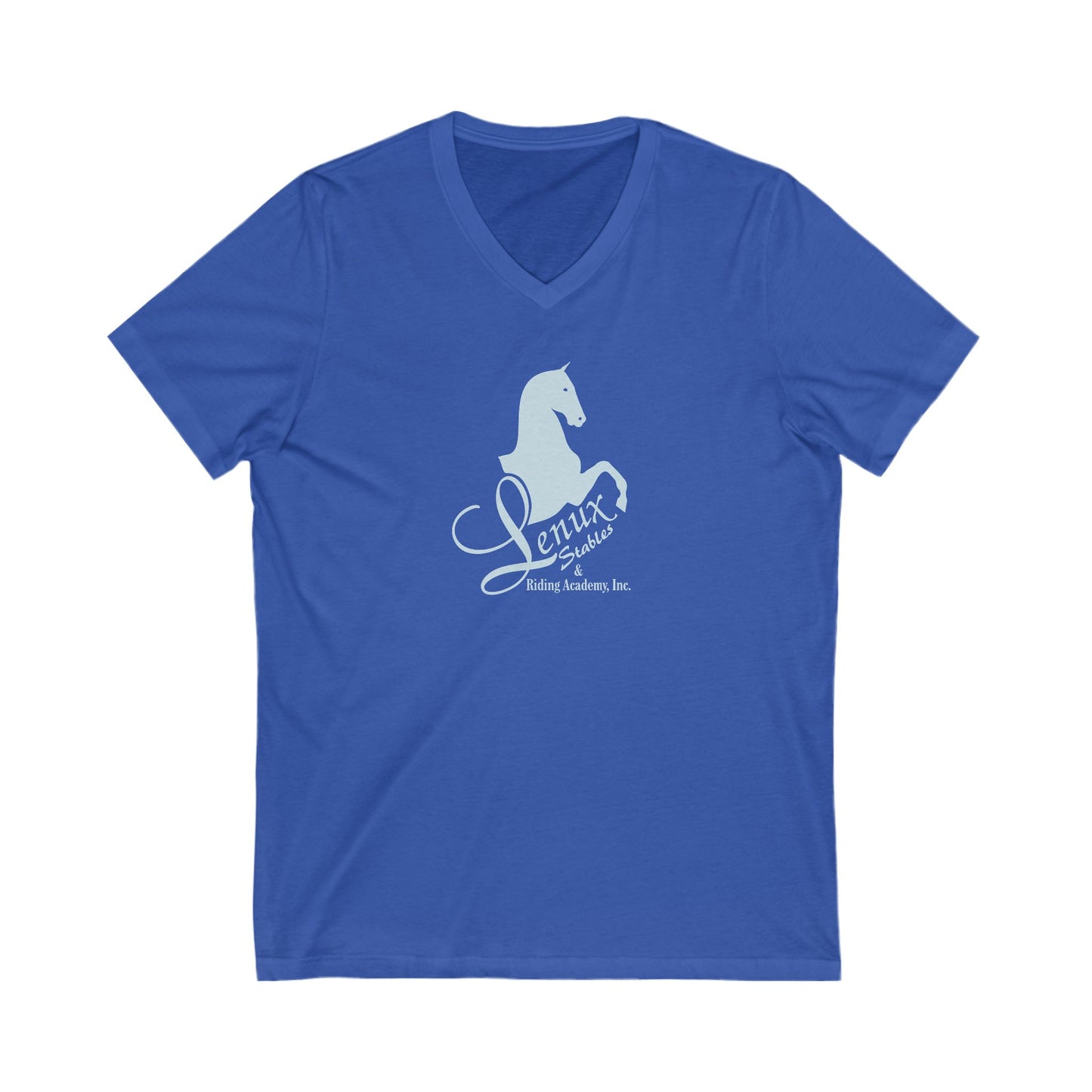 Premium Ladies V-Neck Tee