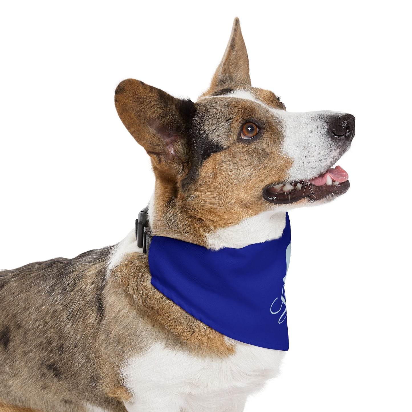 Dog Bandana with Collar