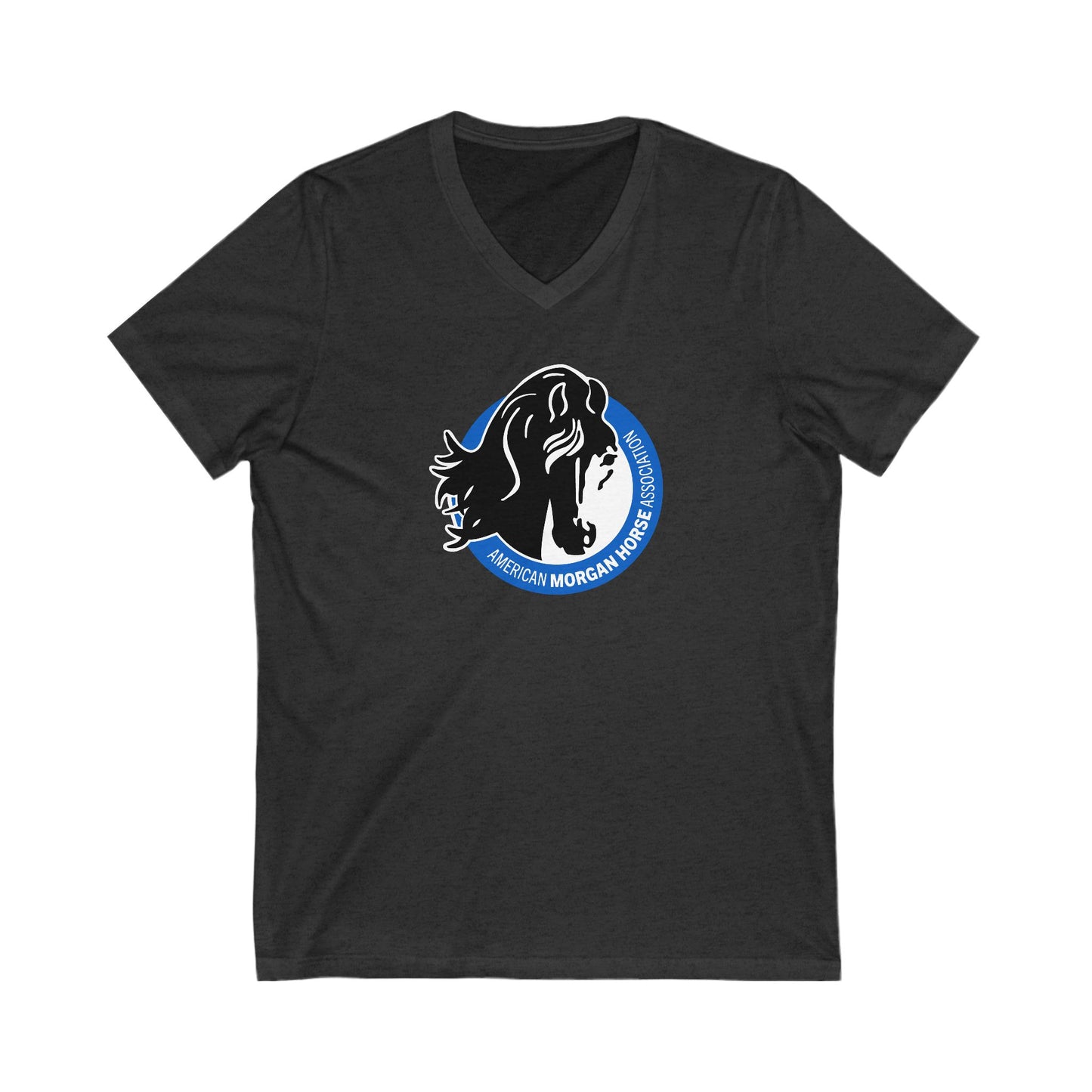 Premium Ladies V-Neck Tee