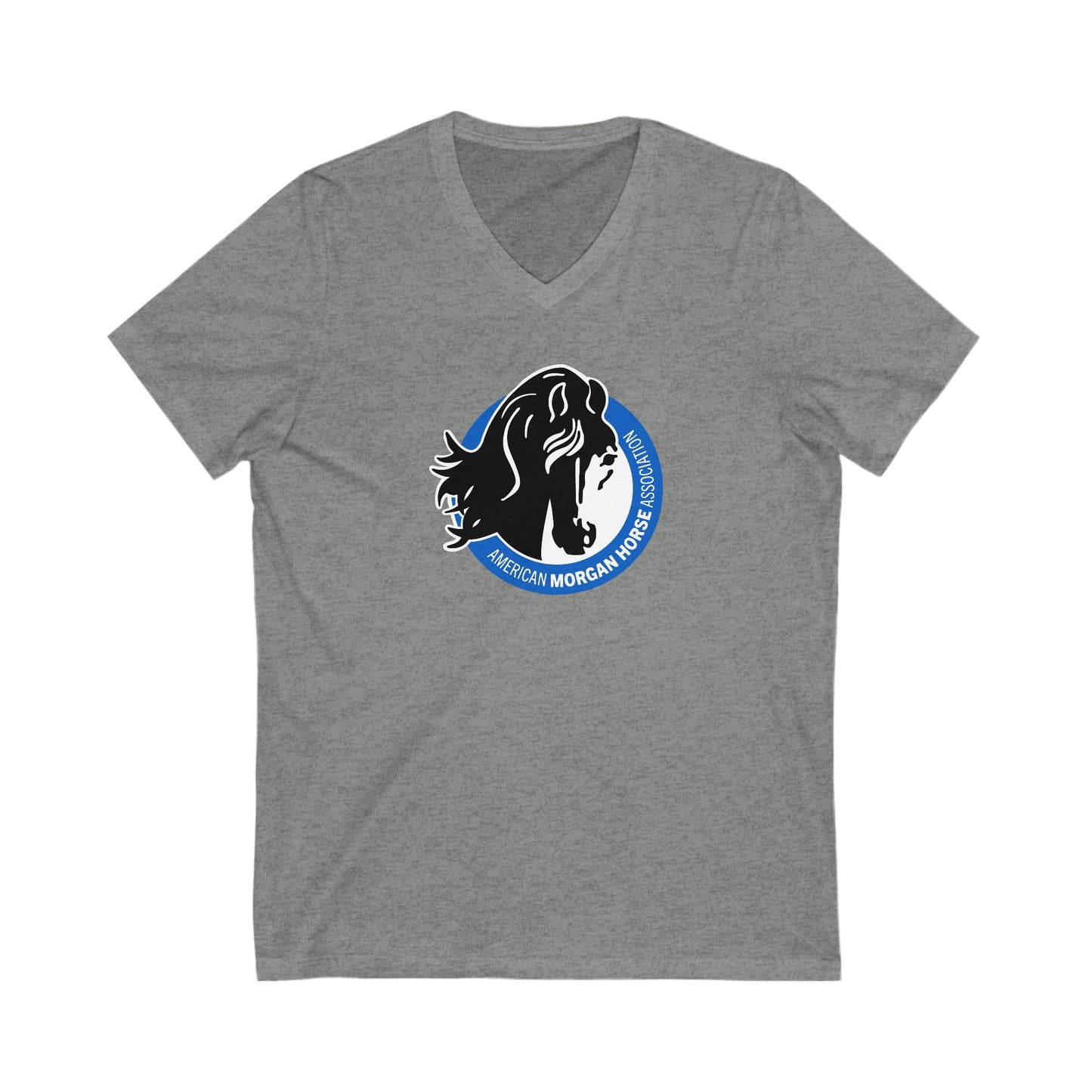 Premium Ladies V-Neck Tee