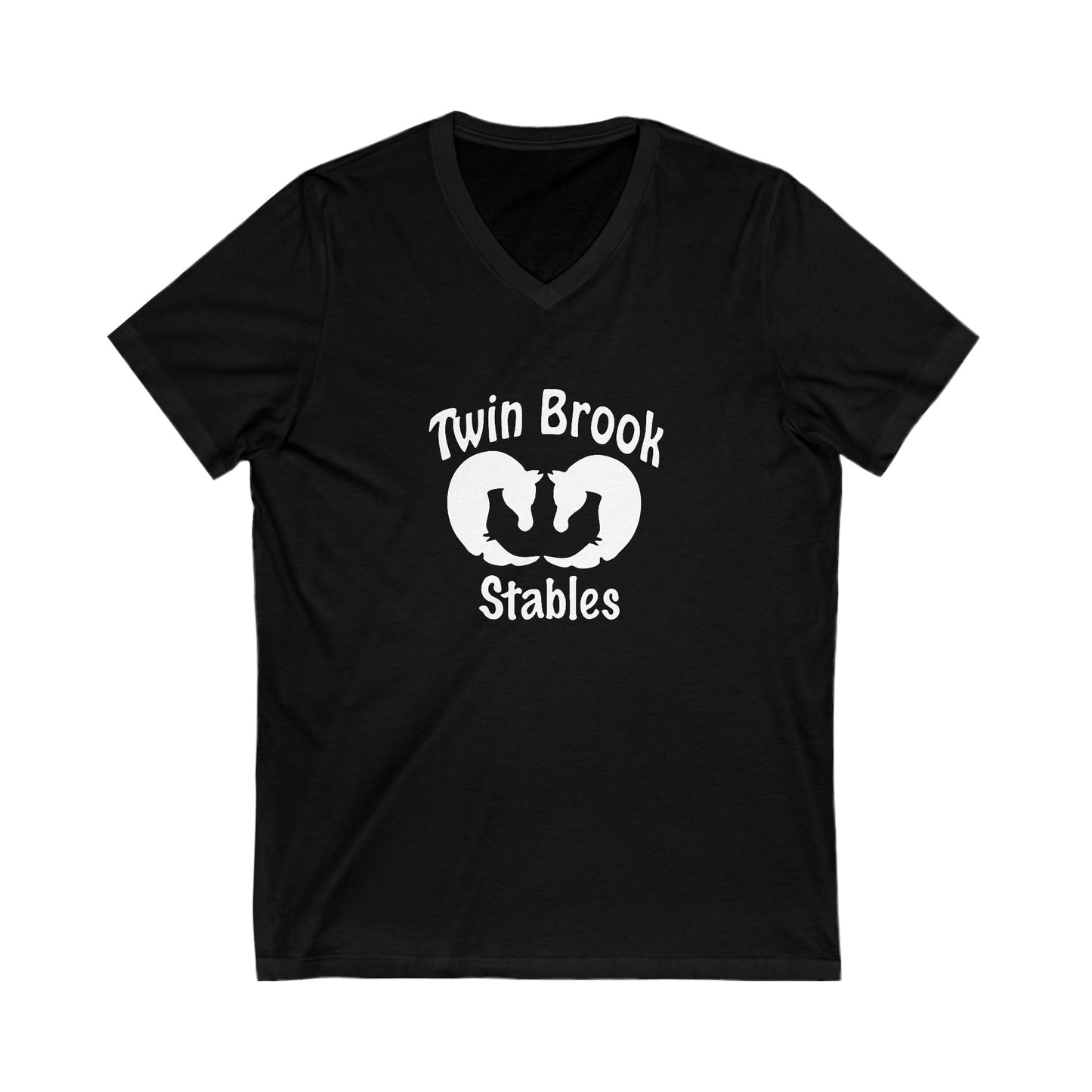 Premium Ladies V-Neck Tee