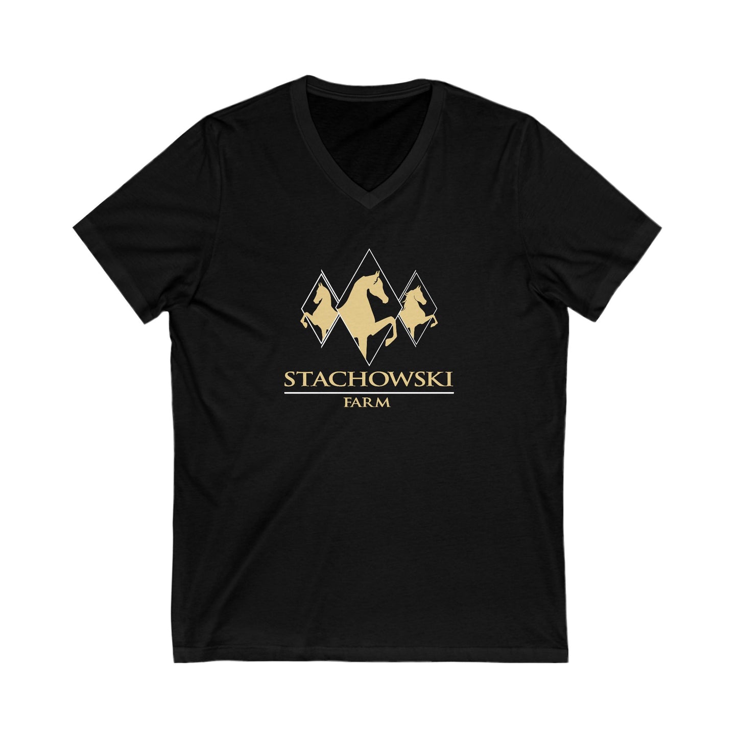 Premium Ladies V-Neck Tee