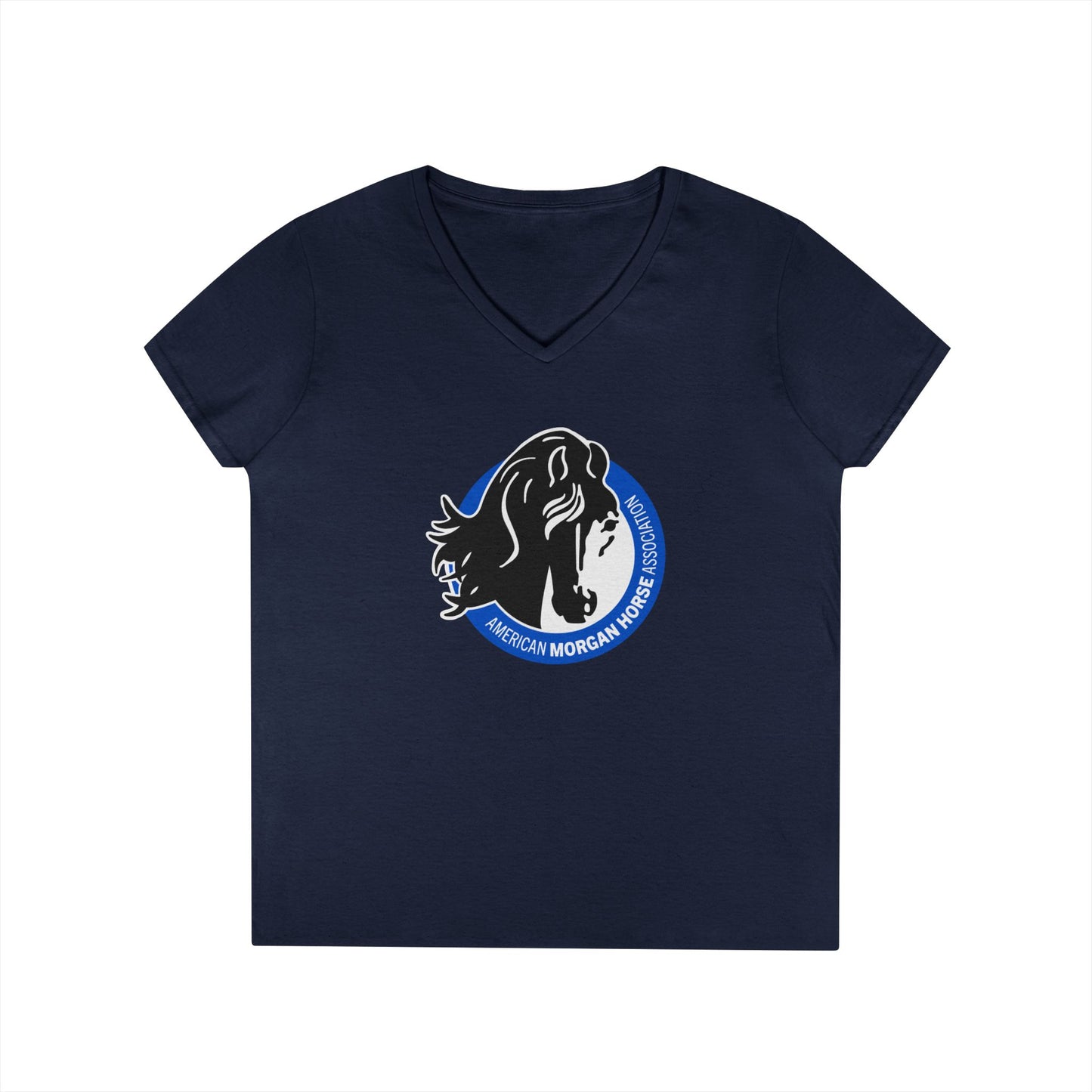 Ladies V-Neck Tee