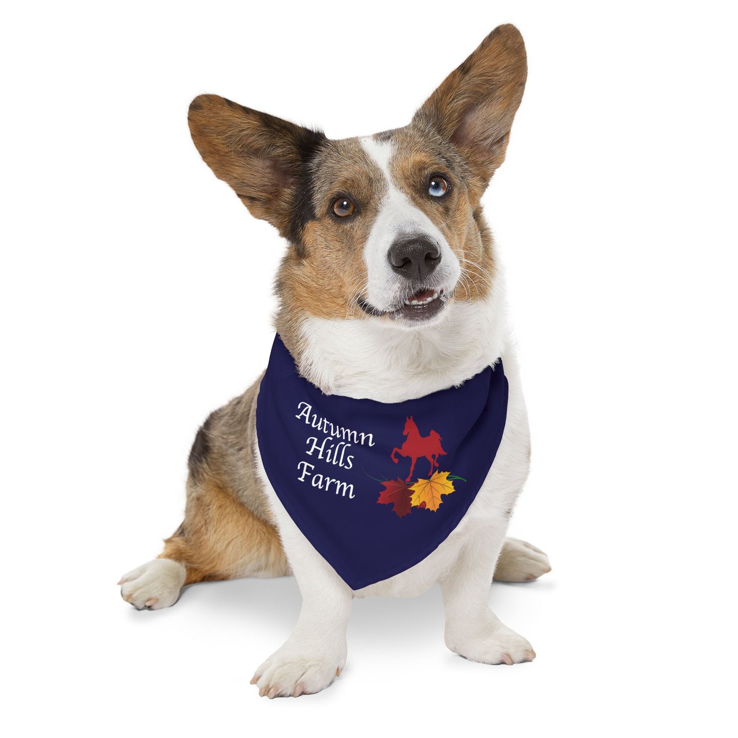 Dog Bandana with Collar