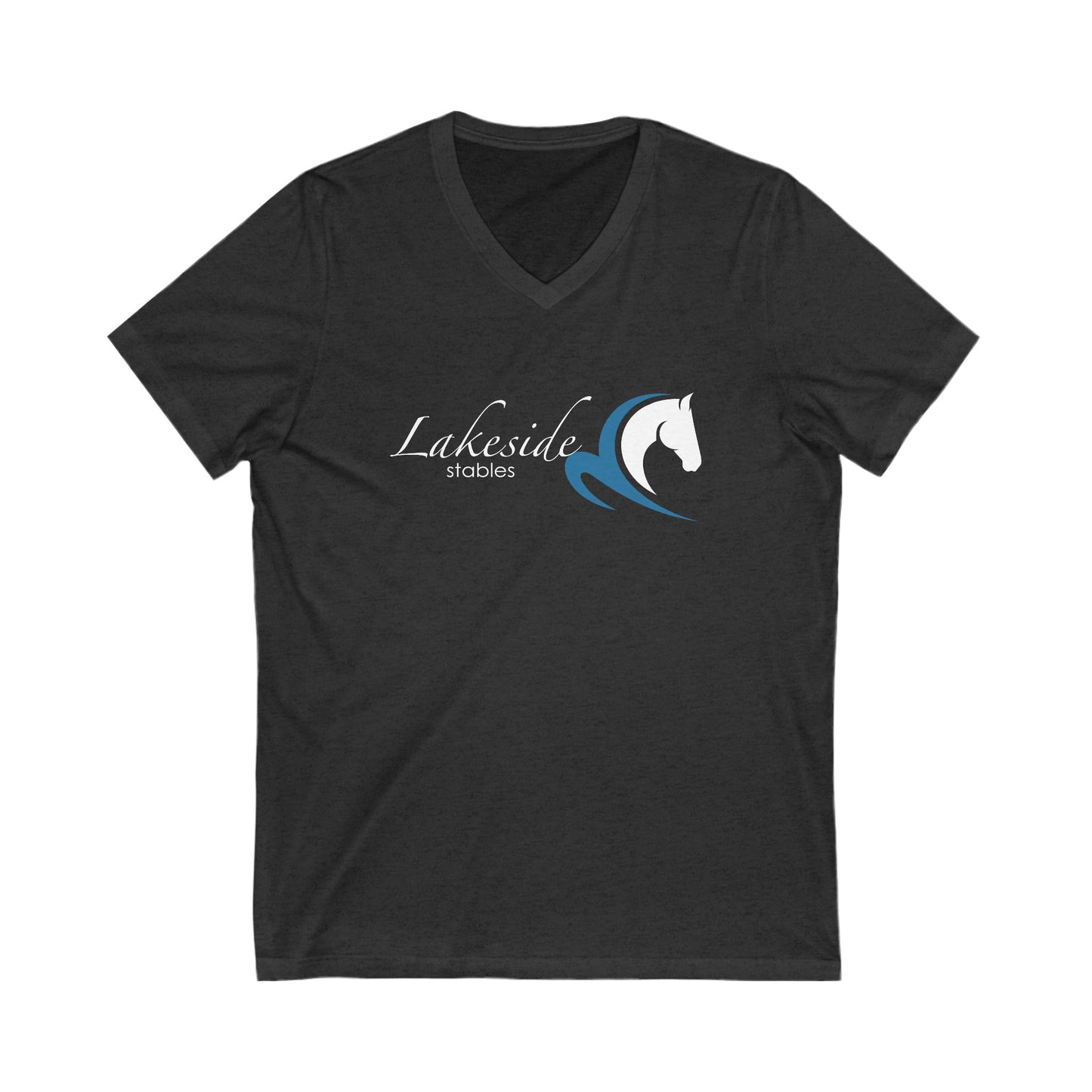 Premium Ladies V-Neck Tee