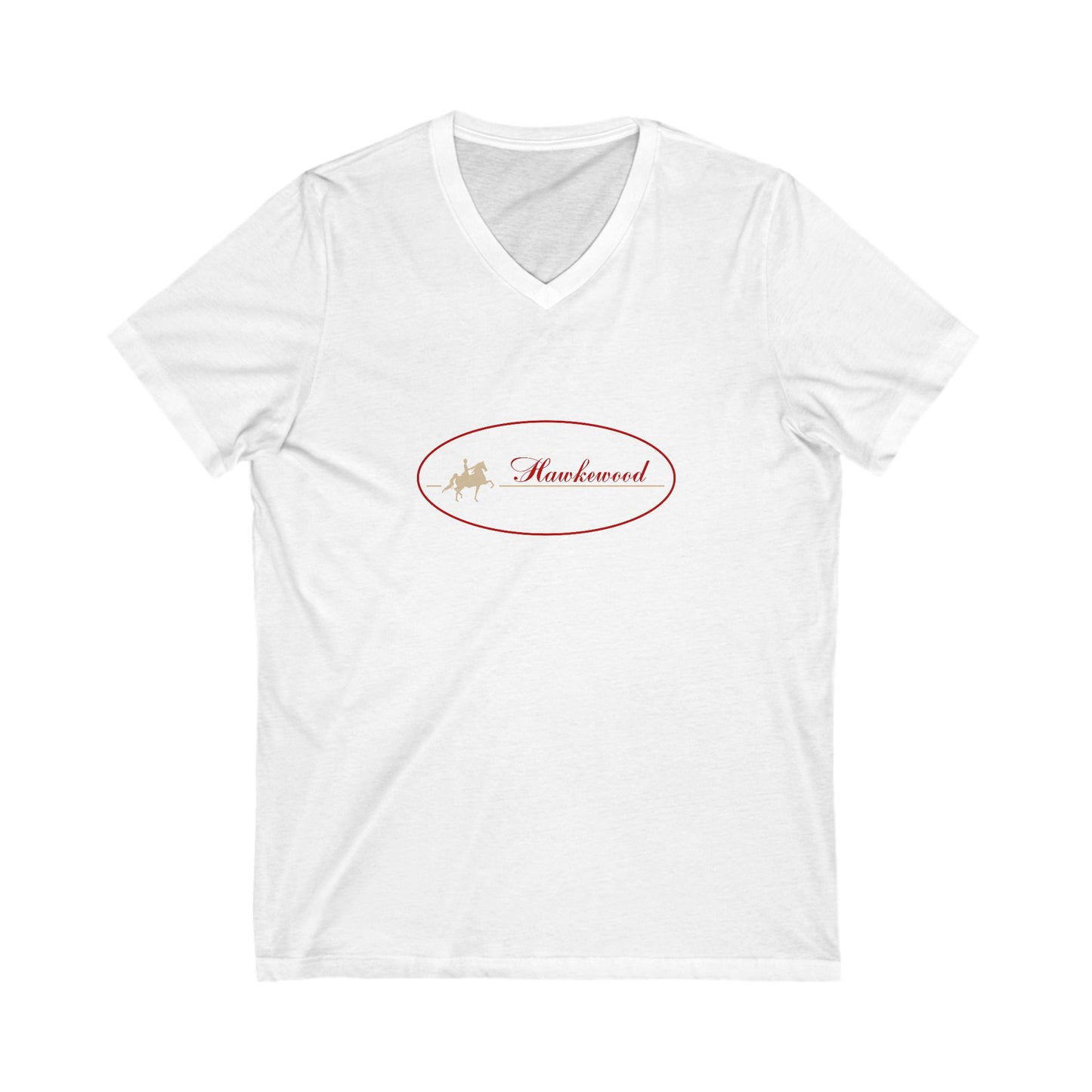 Premium Ladies V-Neck Tee