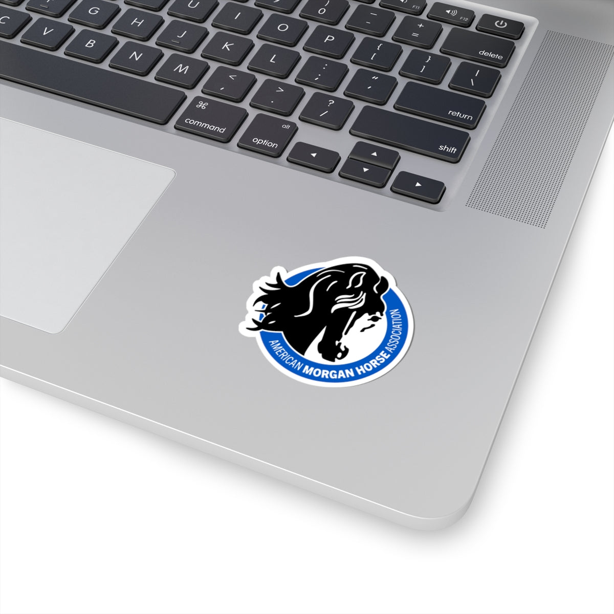 Stickers - 2 sizes, clear or white trim