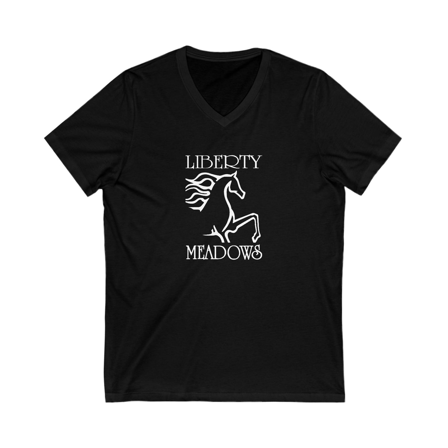 Premium Ladies V-Neck Tee