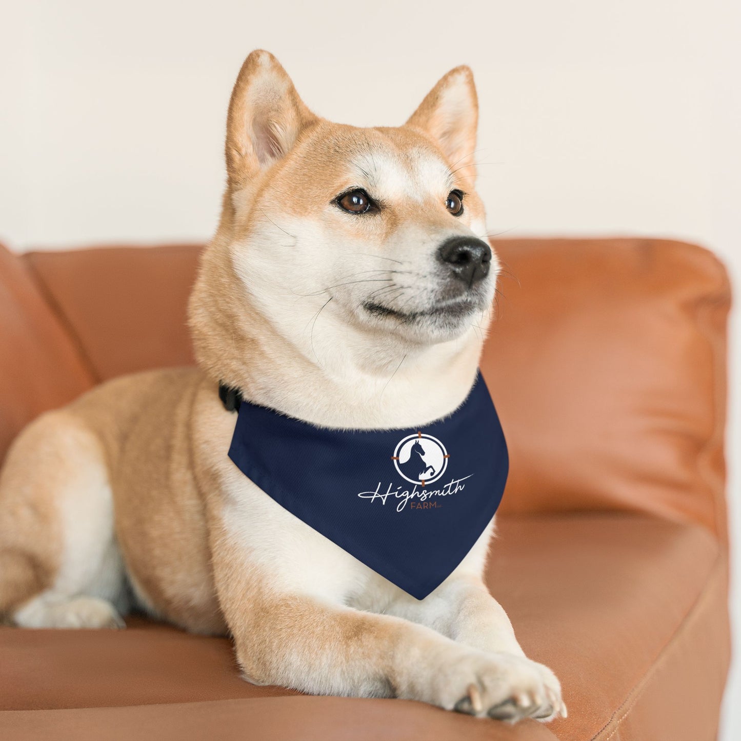 Dog Bandana with Collar