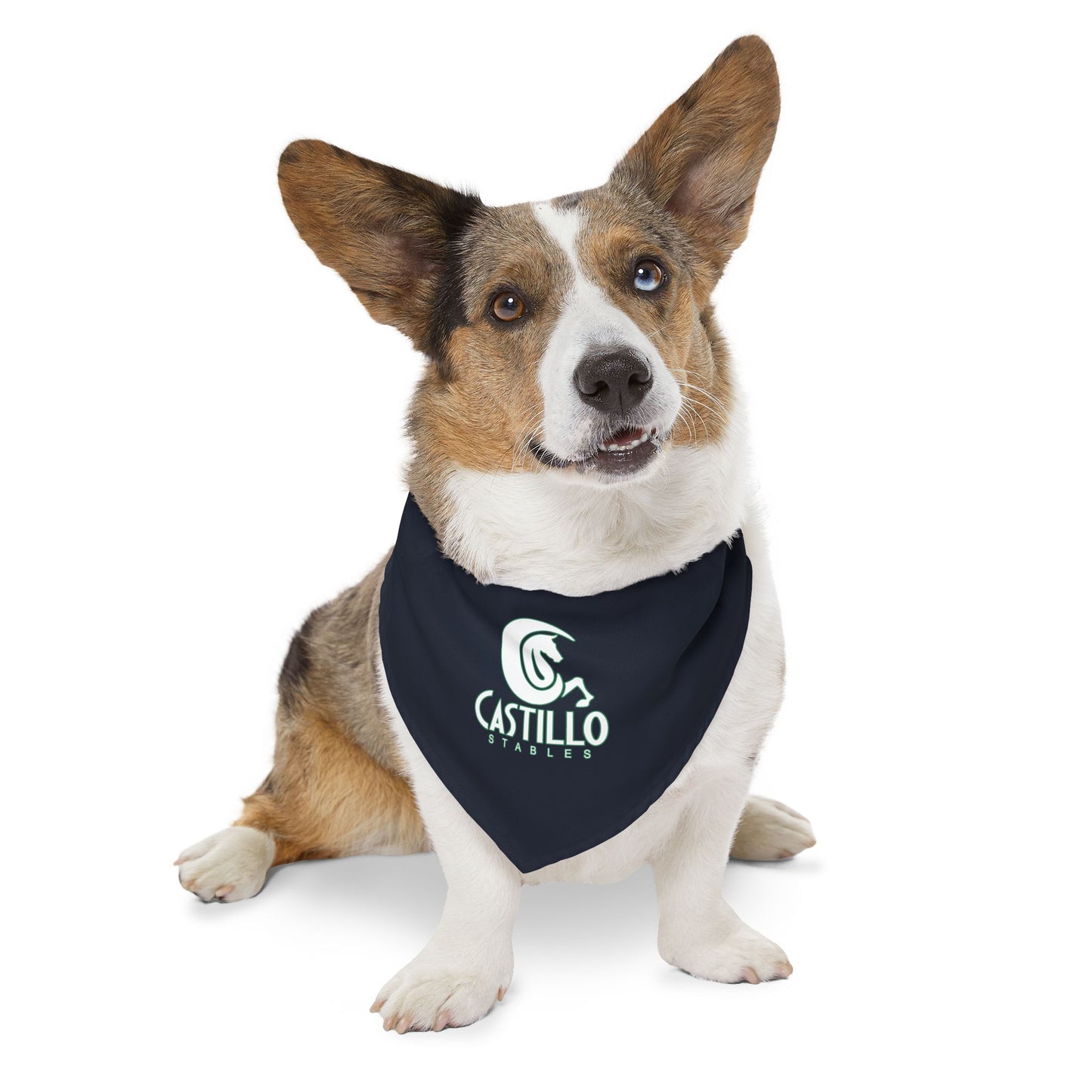 Dog Bandana with Collar