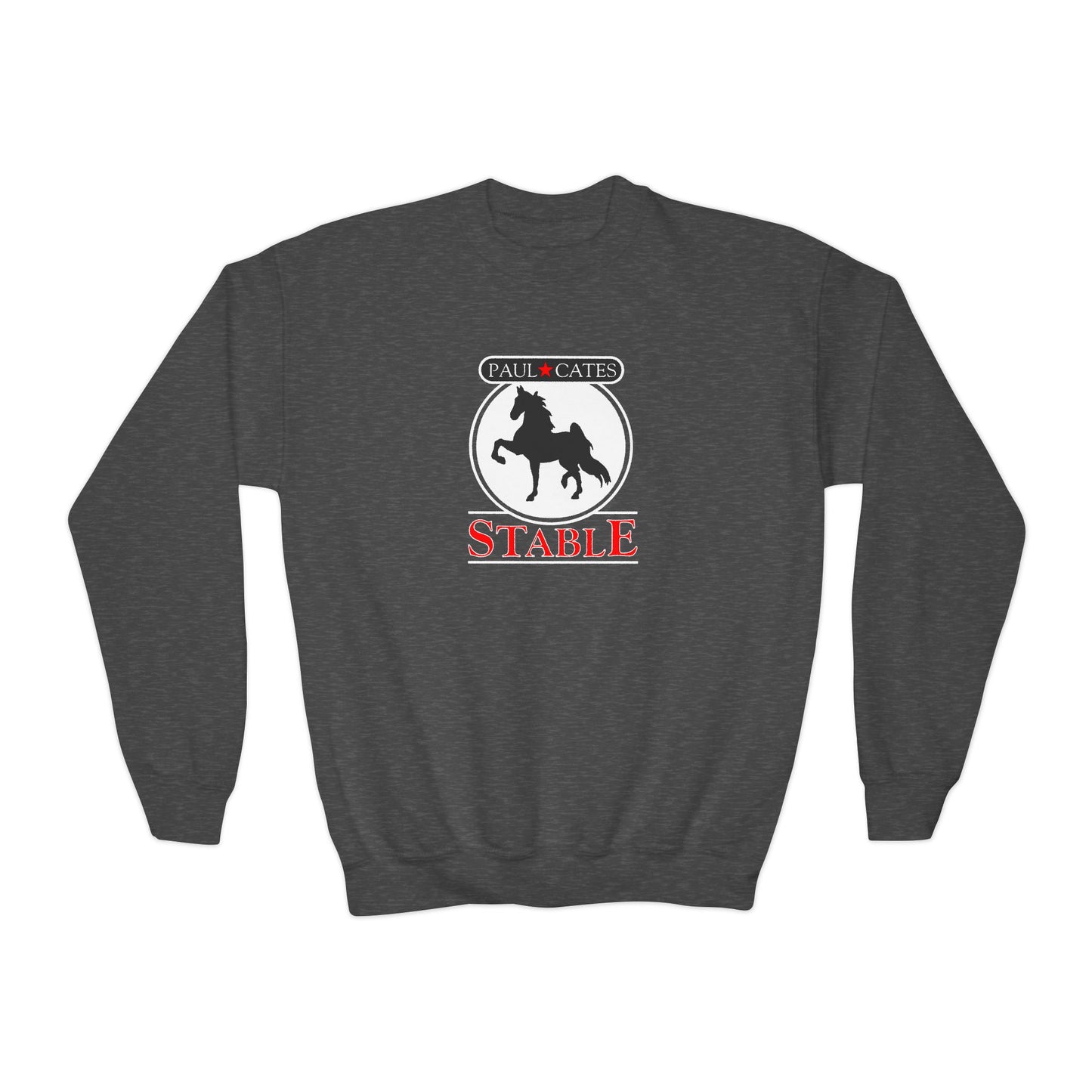 Classic Youth Crewneck Sweatshirt