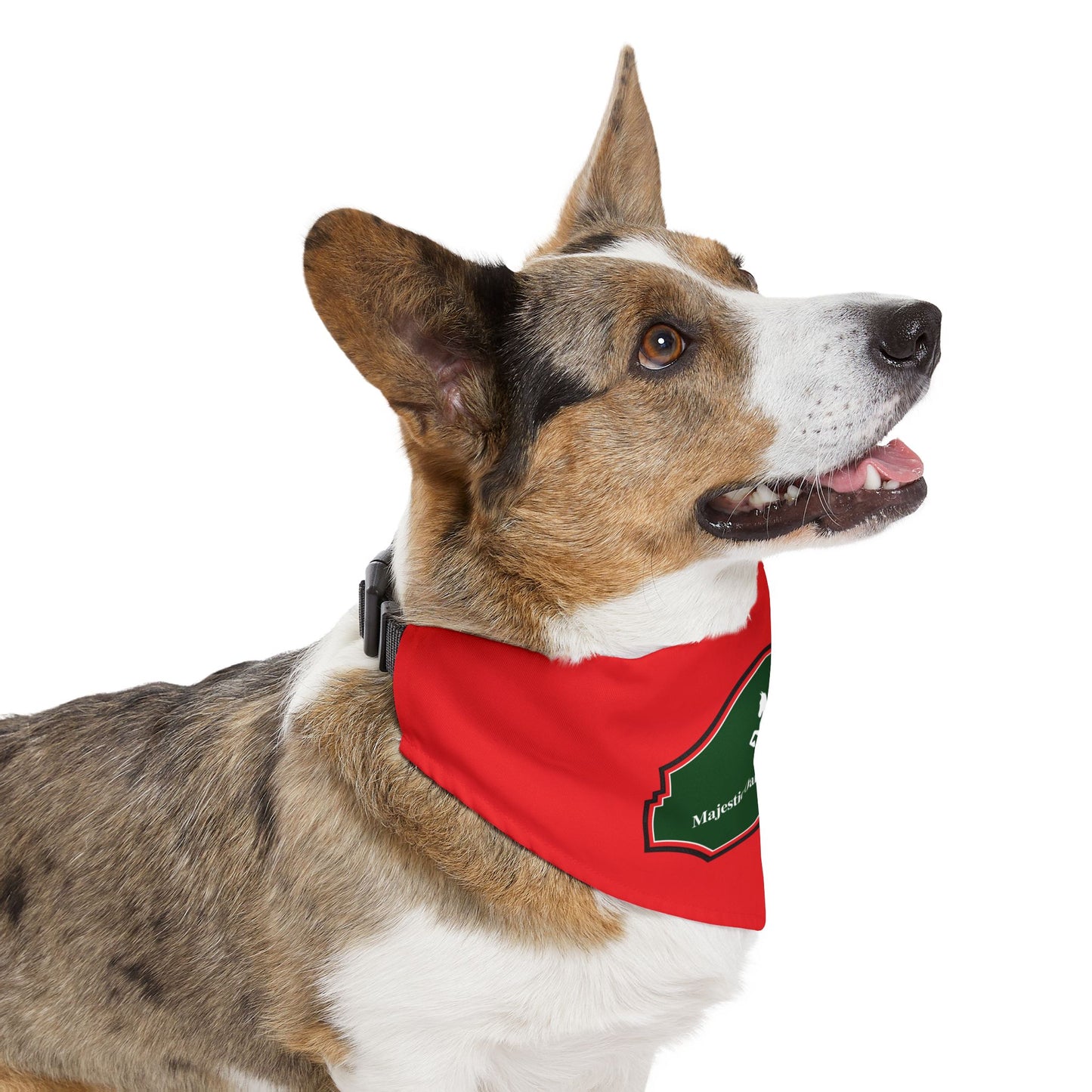Dog Bandana with Collar