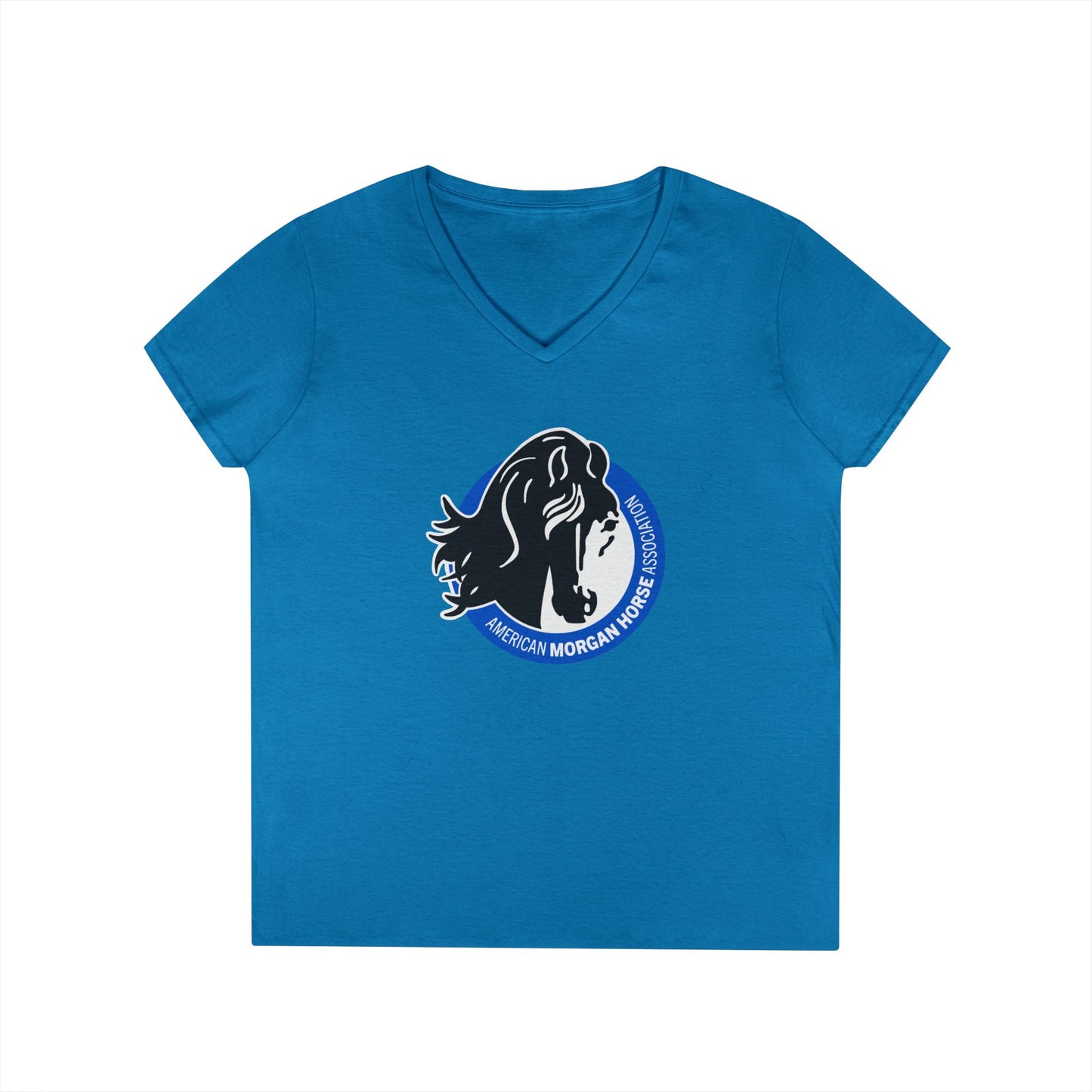 Ladies V-Neck Tee