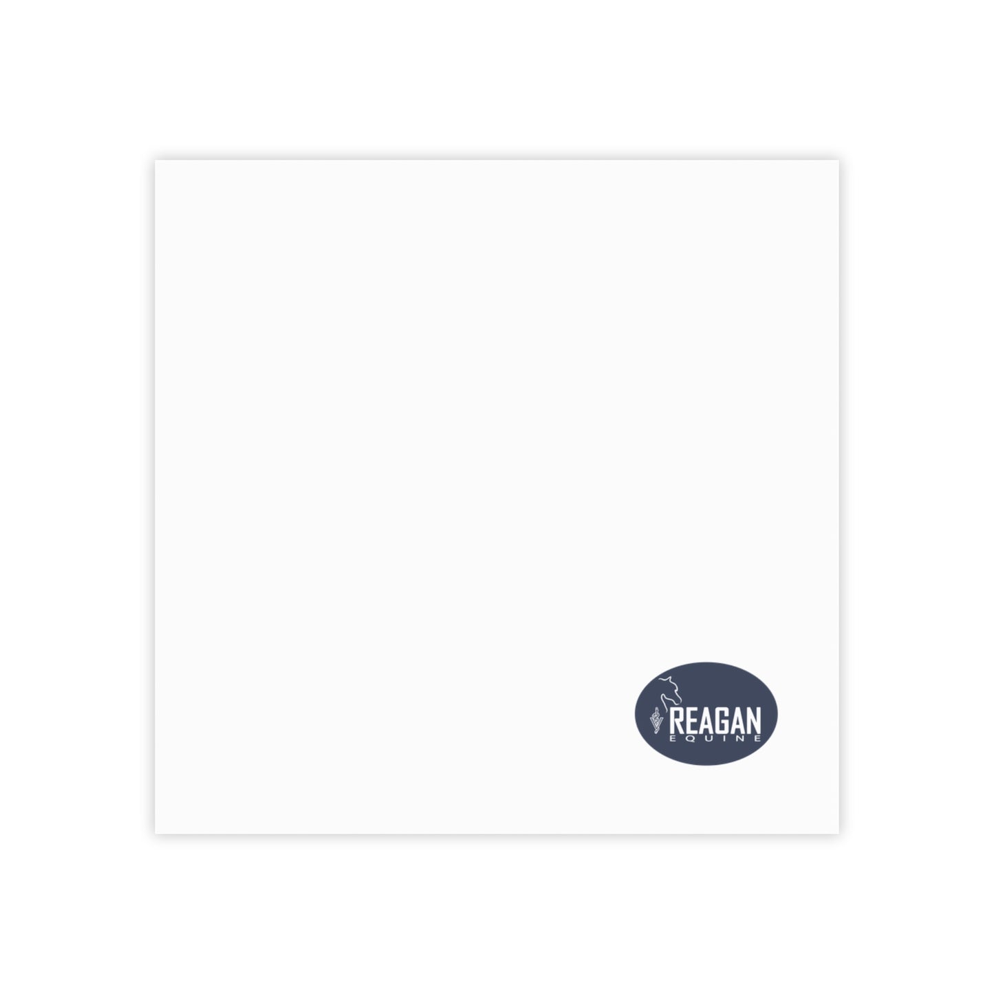 Post-it® Note Pads (4 sizes)