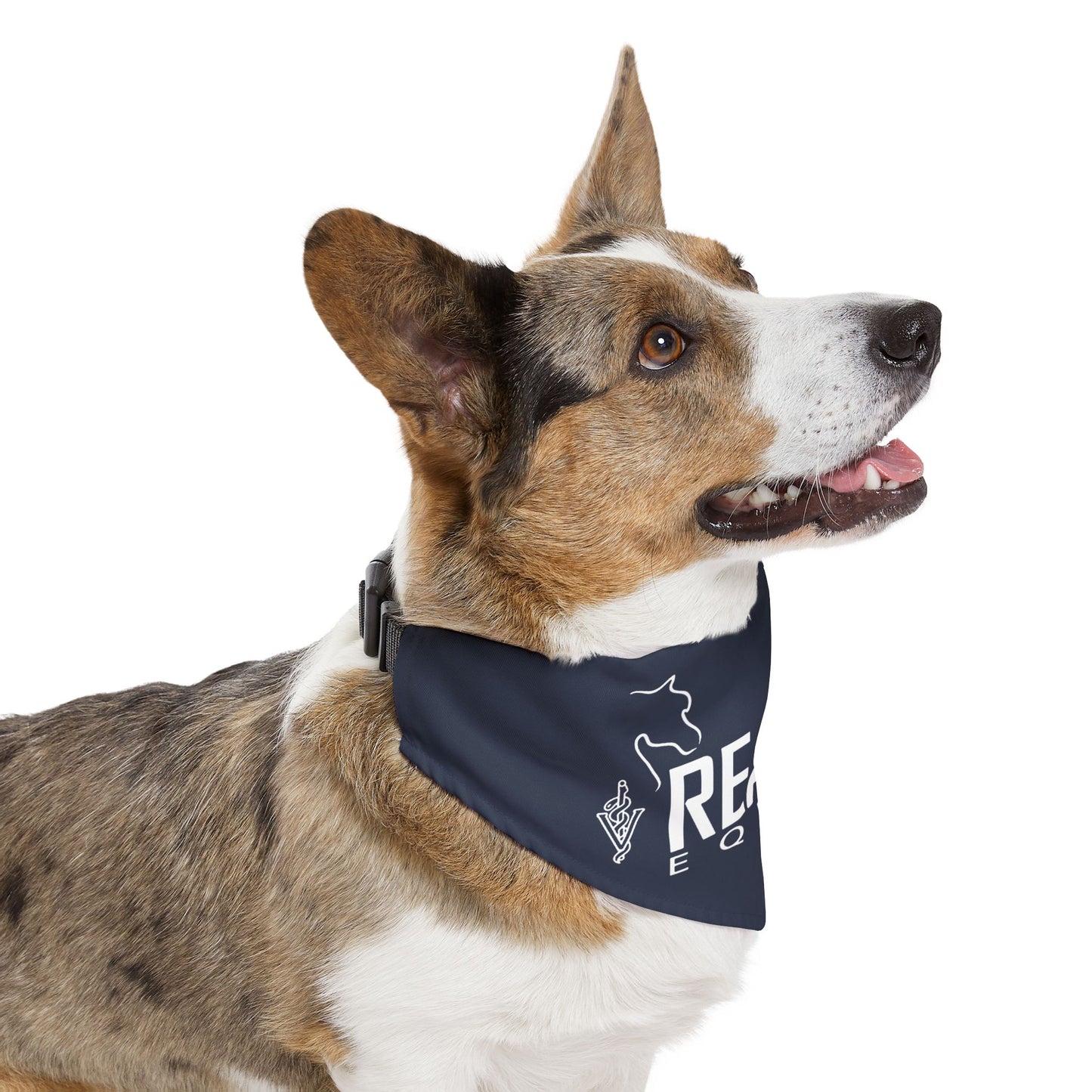 Dog Bandana with Collar