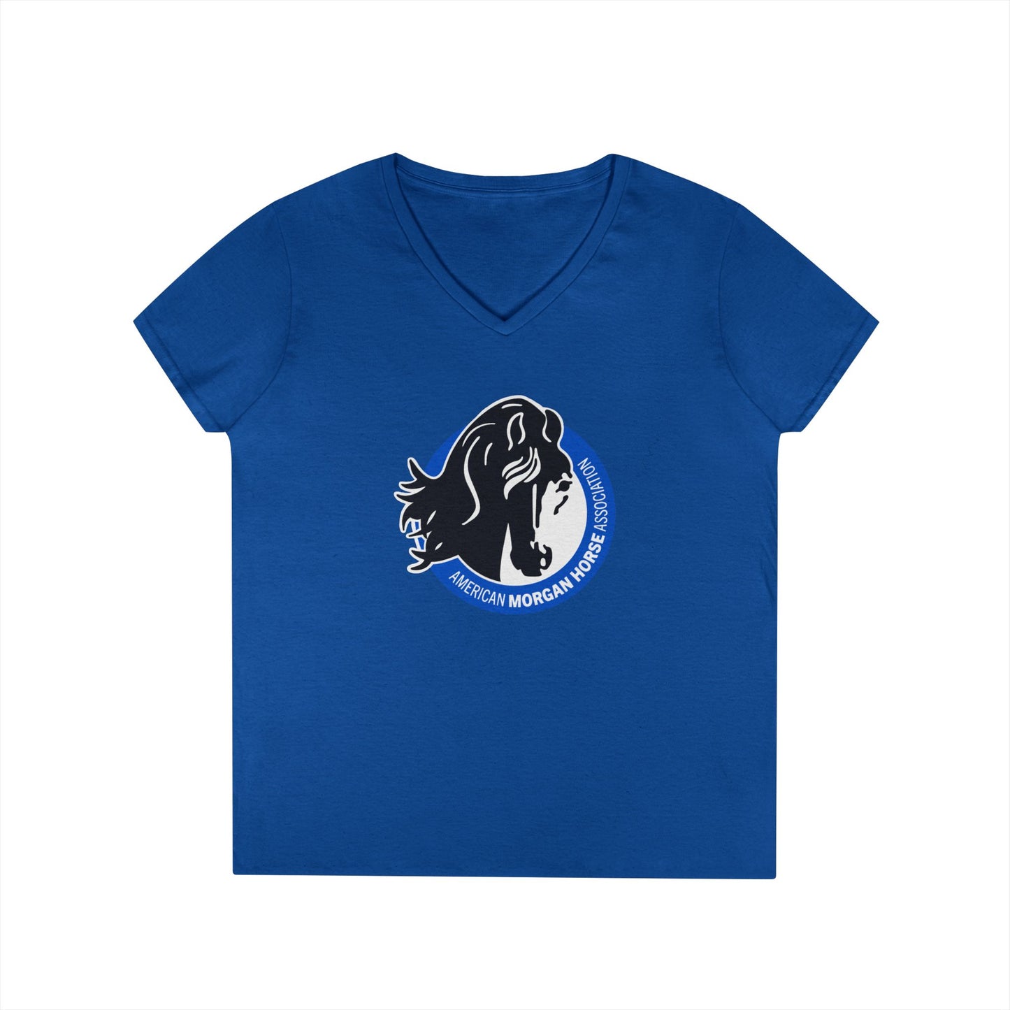 Ladies V-Neck Tee