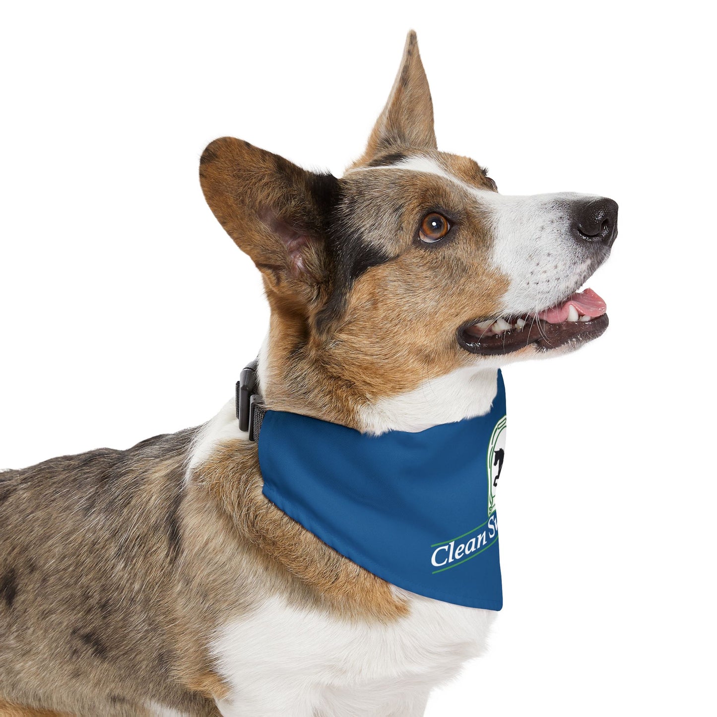 Dog Bandana with Collar