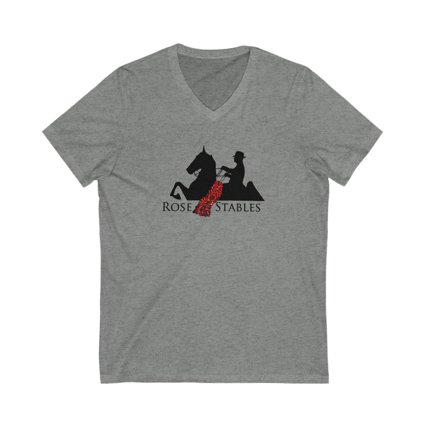 Premium Ladies V-Neck Tee