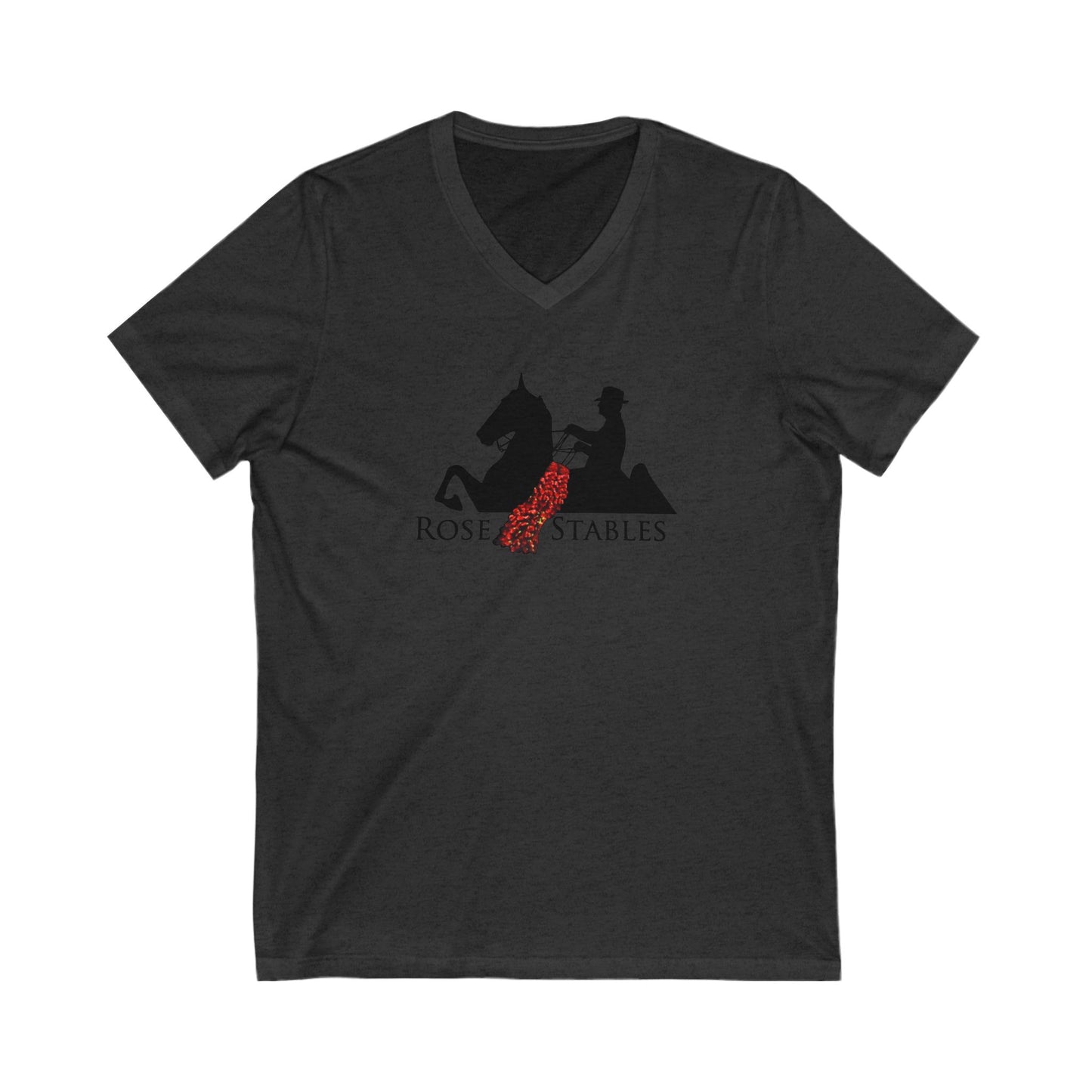 Premium Ladies V-Neck Tee