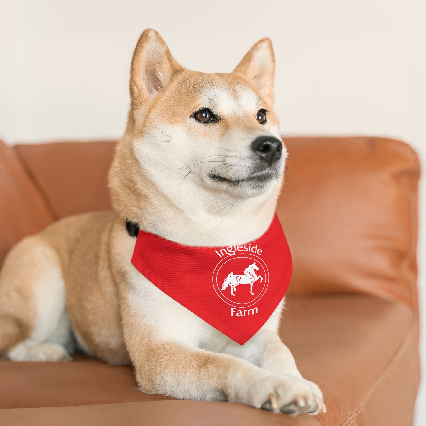 Dog Bandana with Collar