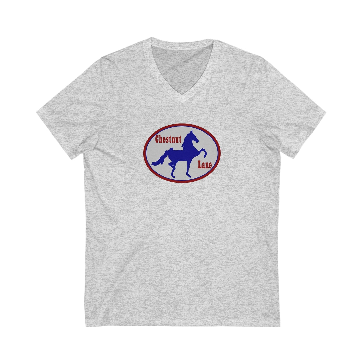 Premium Ladies V-Neck Tee