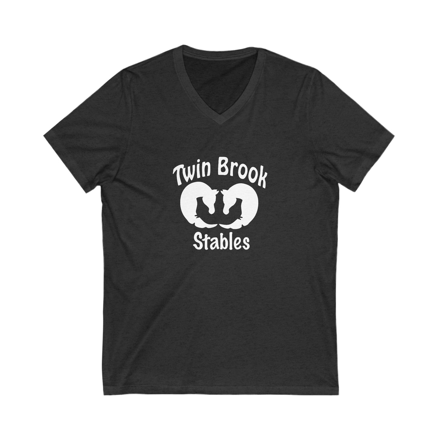 Premium Ladies V-Neck Tee