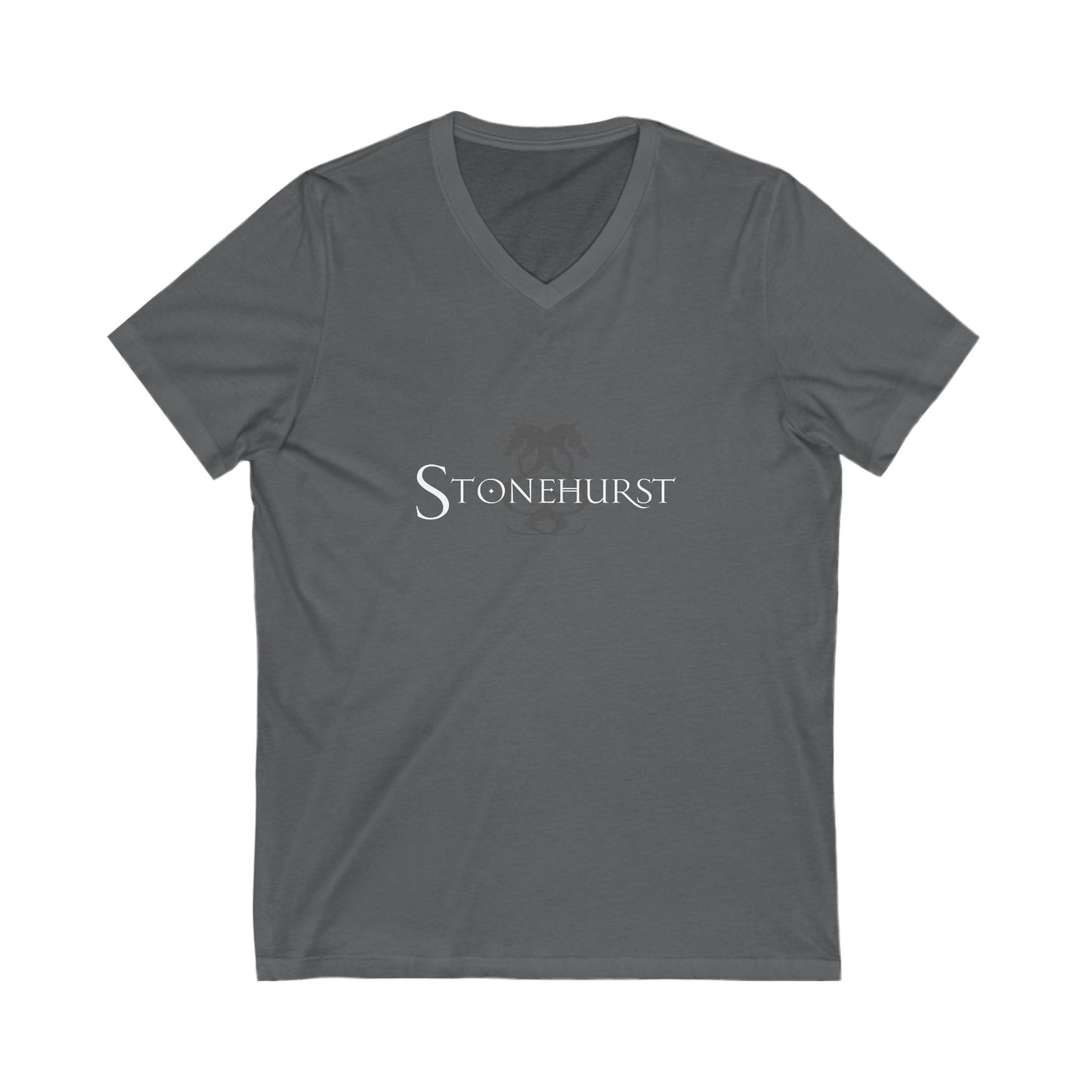 Premium Ladies V-Neck Tee