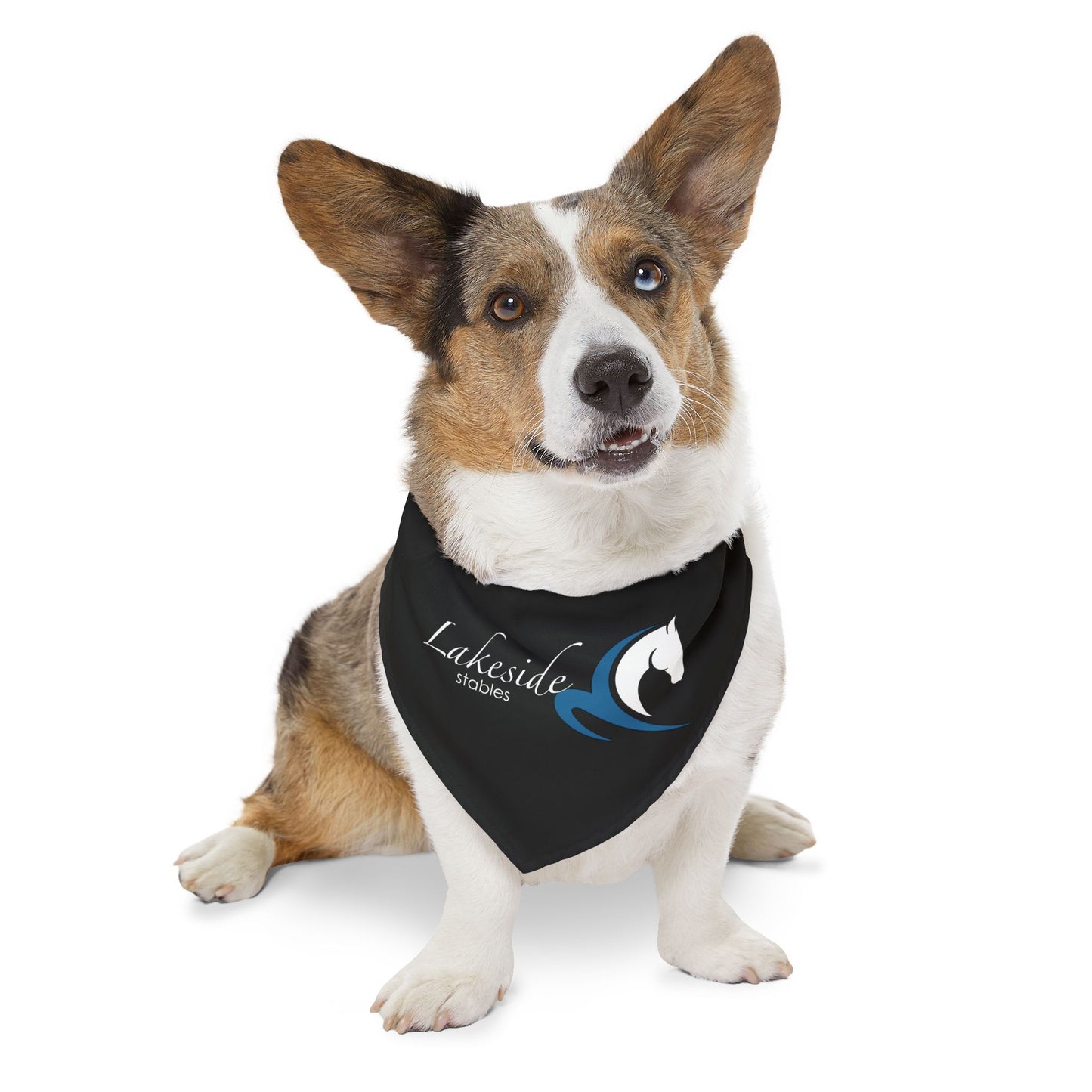 Dog Bandana with Collar