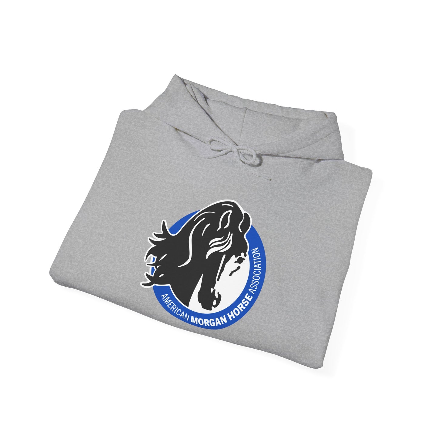 Unisex Heavy Blend™ Hoodie