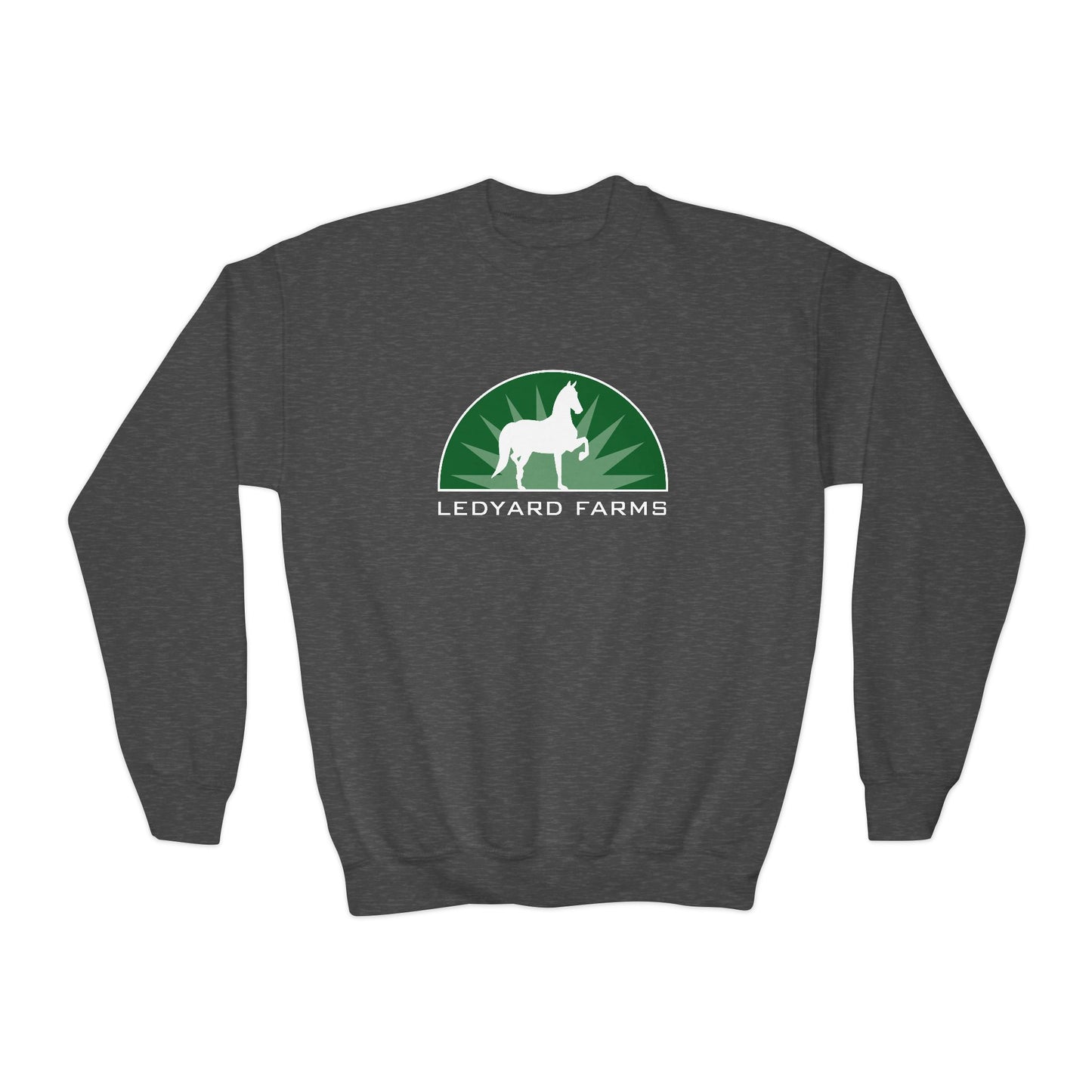 Classic Youth Crewneck Sweatshirt