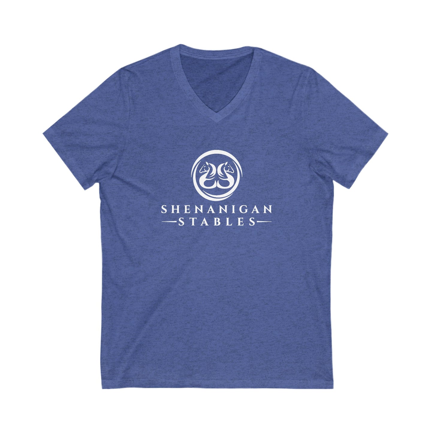 Premium Ladies V-Neck Tee