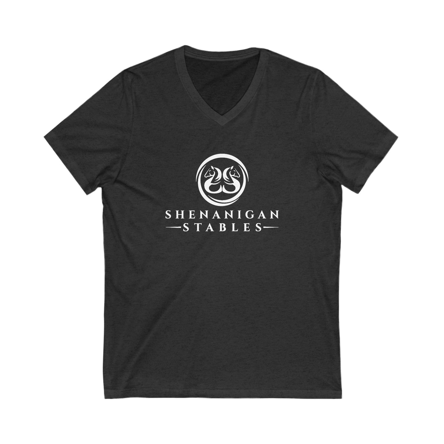 Premium Ladies V-Neck Tee