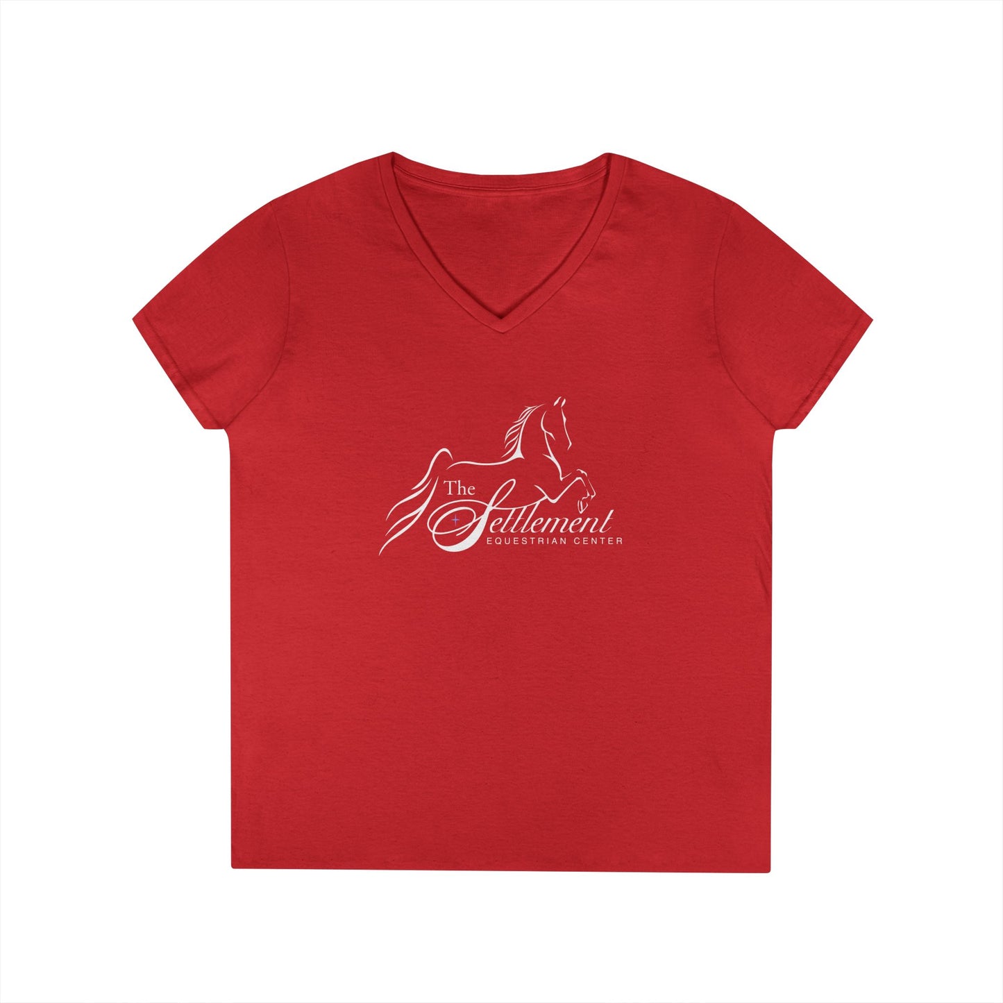 Ladies V-Neck Tee