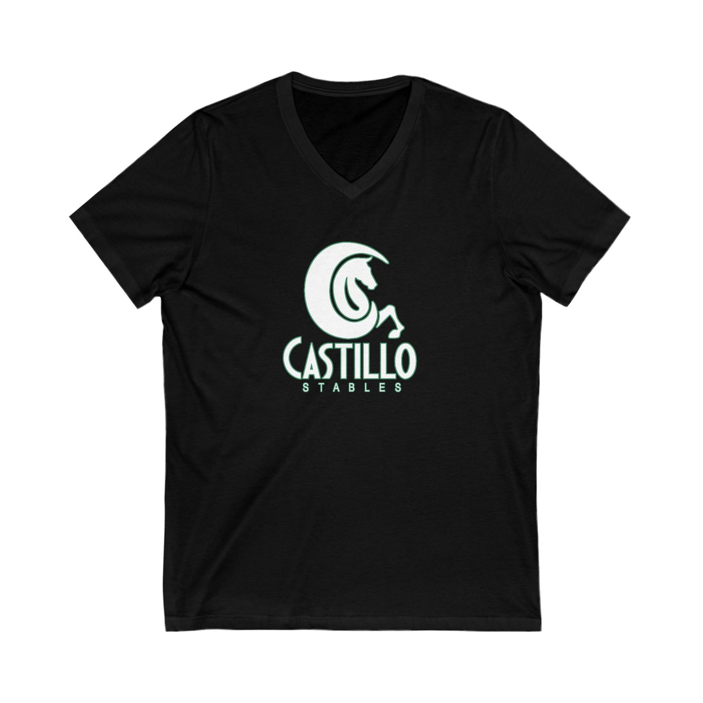 Premium Ladies V-Neck Tee