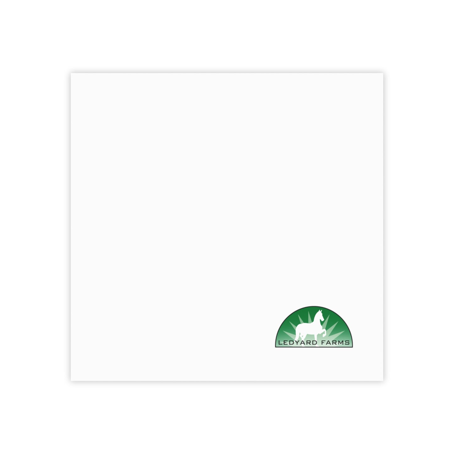 Post-it® Note Pads (4 sizes)