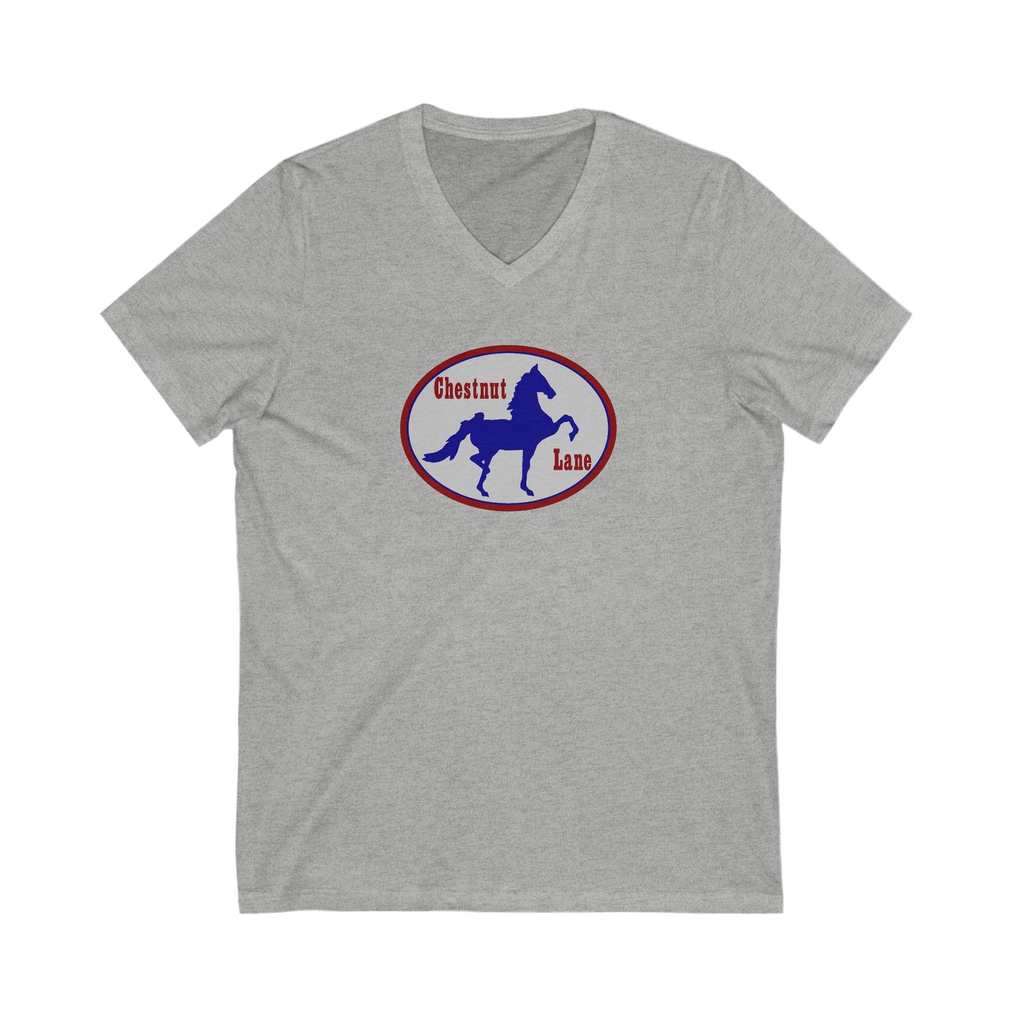 Premium Ladies V-Neck Tee