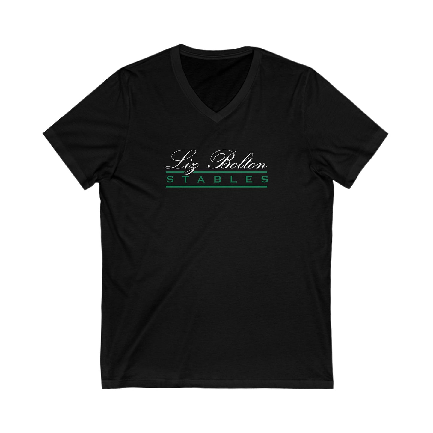 Premium Ladies V-Neck Tee