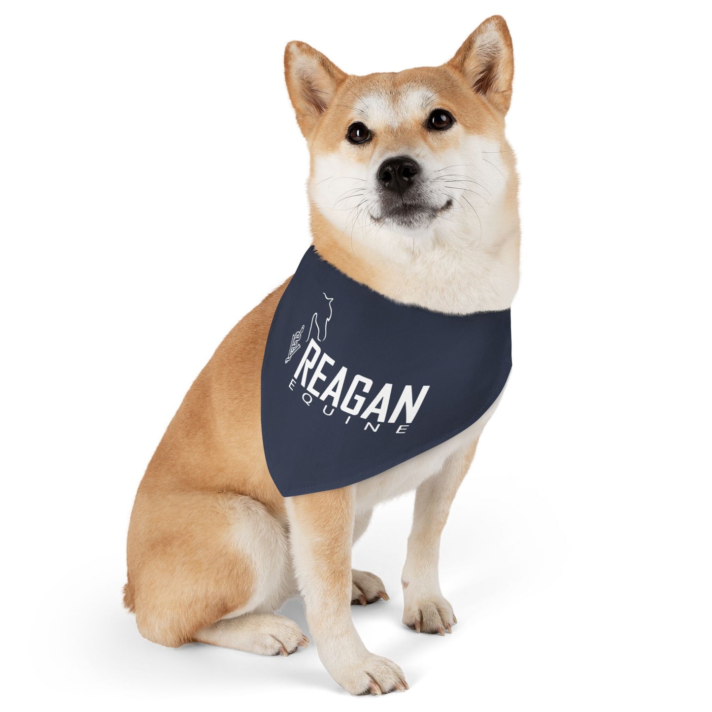 Dog Bandana with Collar