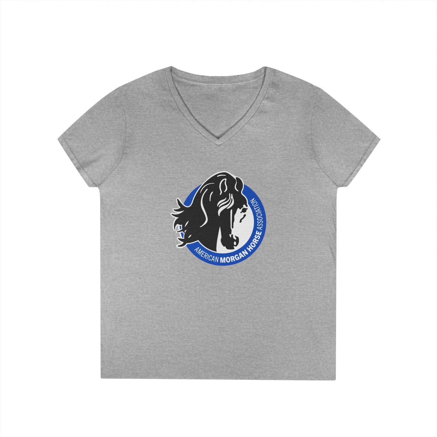 Ladies V-Neck Tee
